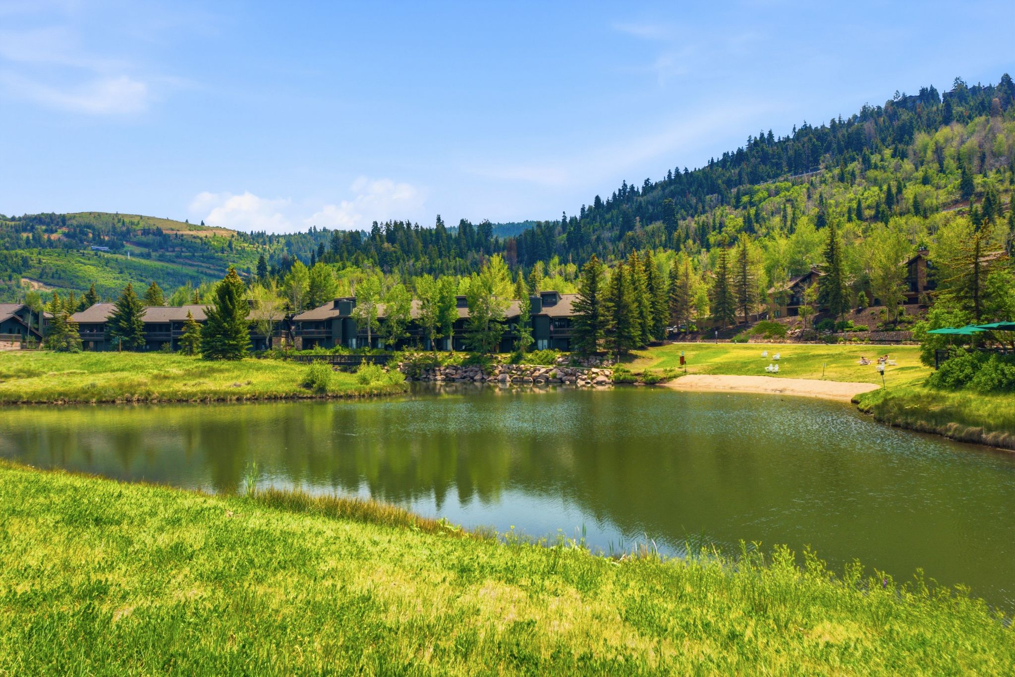 Expansive lakefront setting featuring a sandy beach area, surrounded by green grass and mature trees