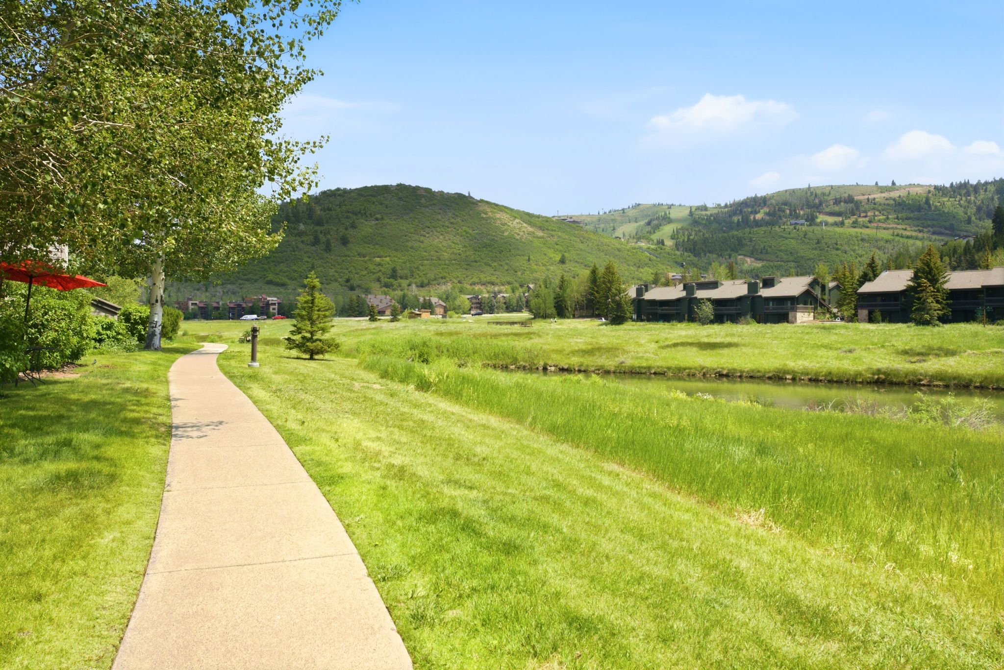 Paved walking path bordered by manicured lawn and mature trees