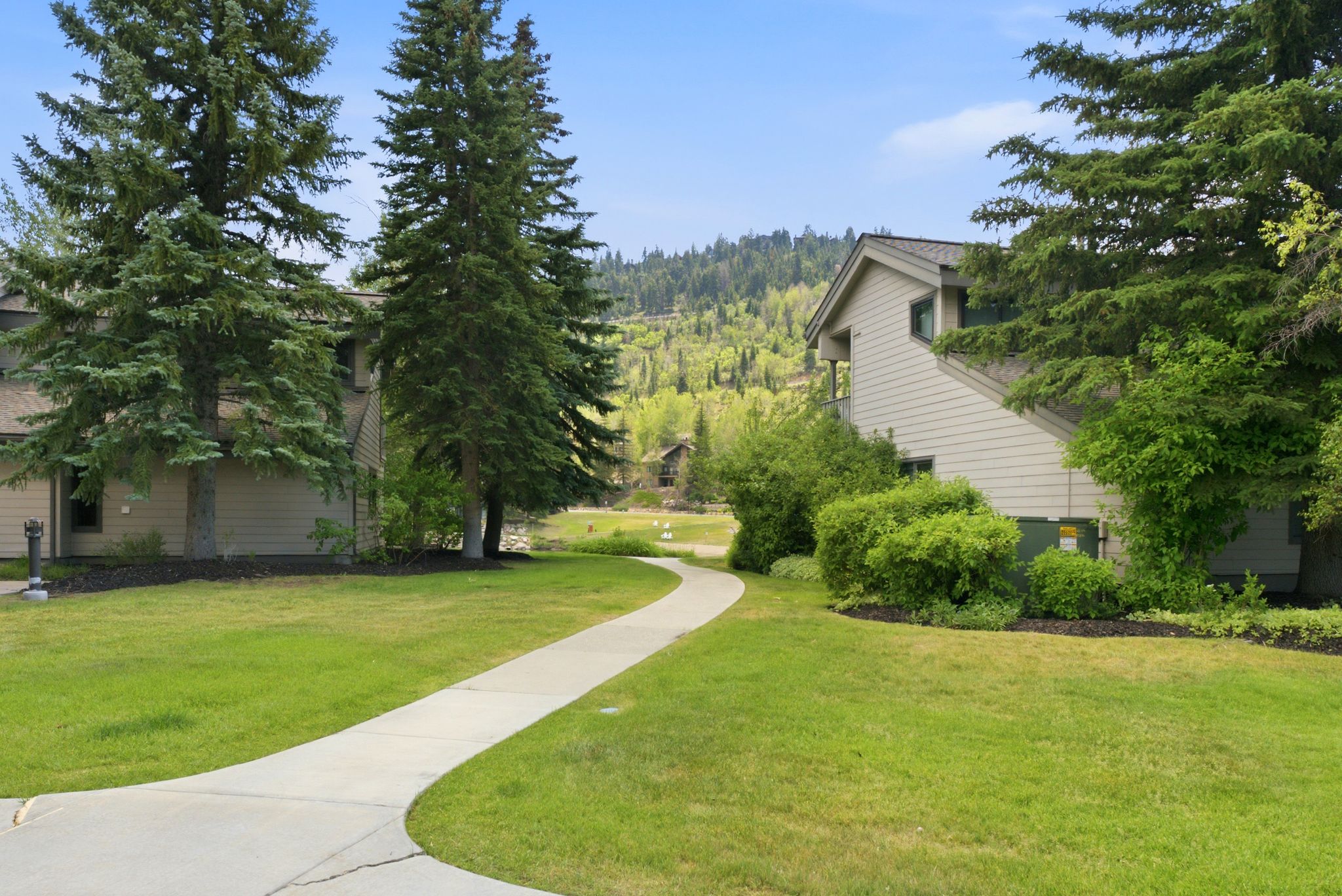 Manicured lawn with a winding concrete pathway