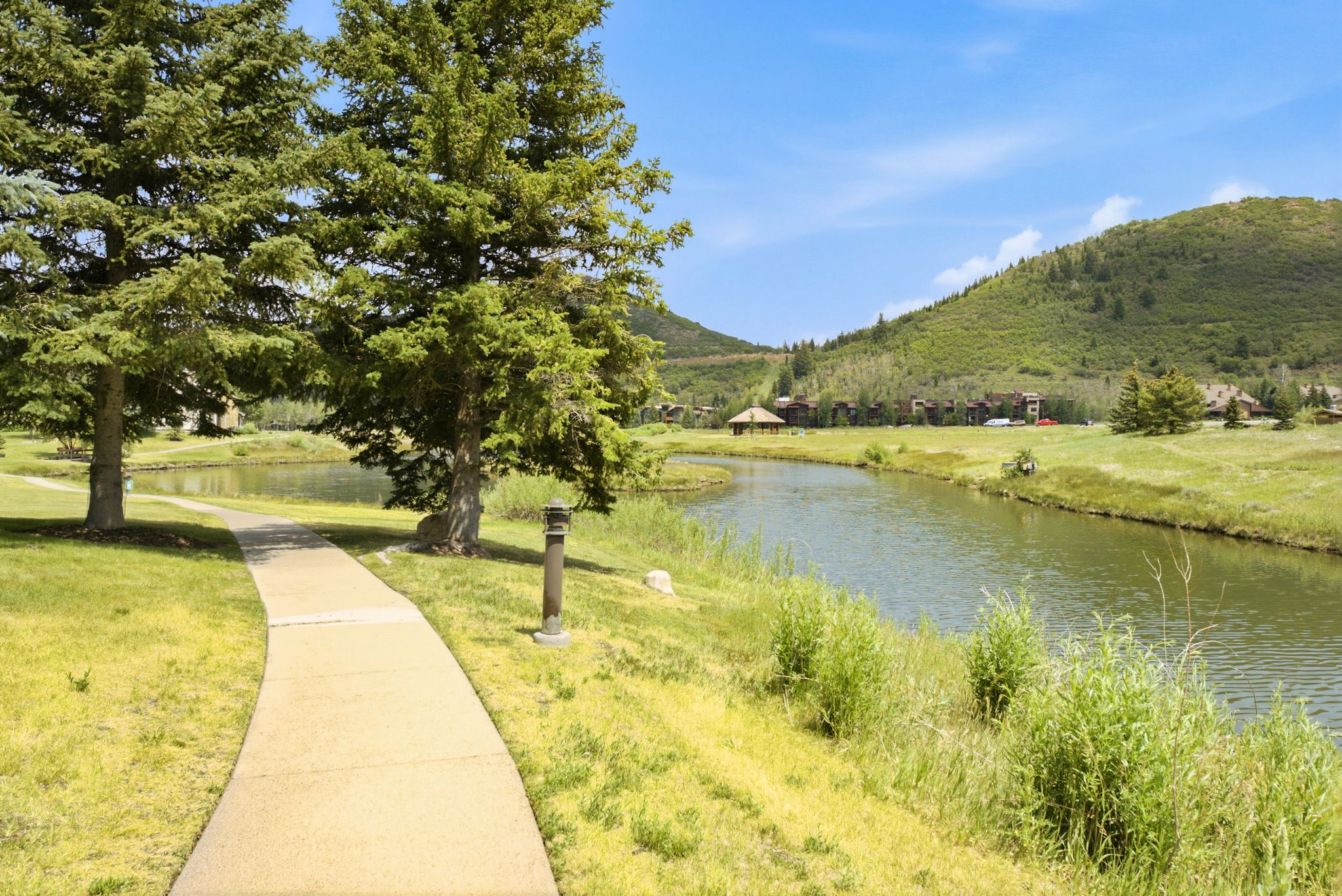 Paved pathway alongside a natural water feature, bordered by mature evergreen trees