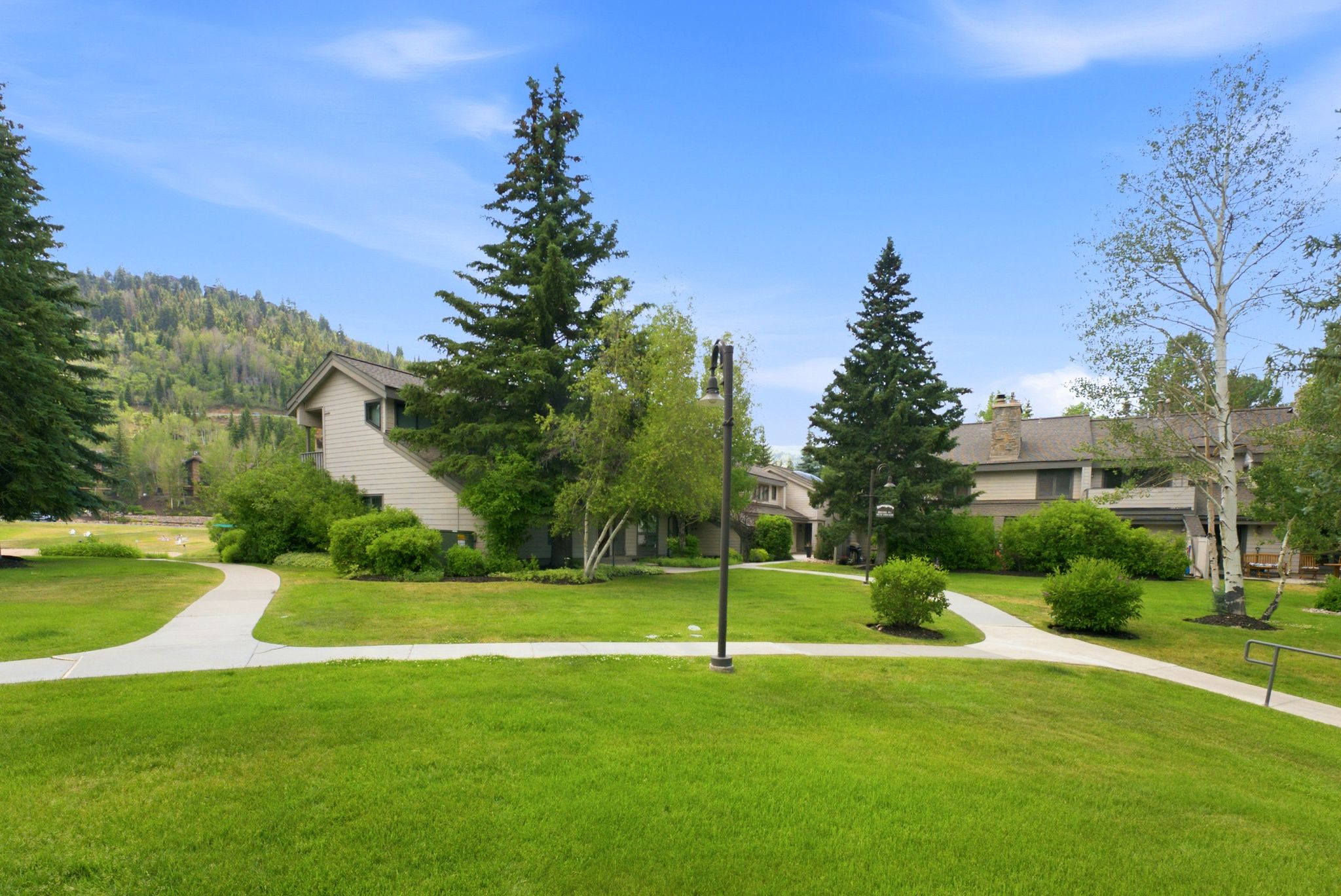 Expansive green lawn with winding pathways, surrounded by mature trees