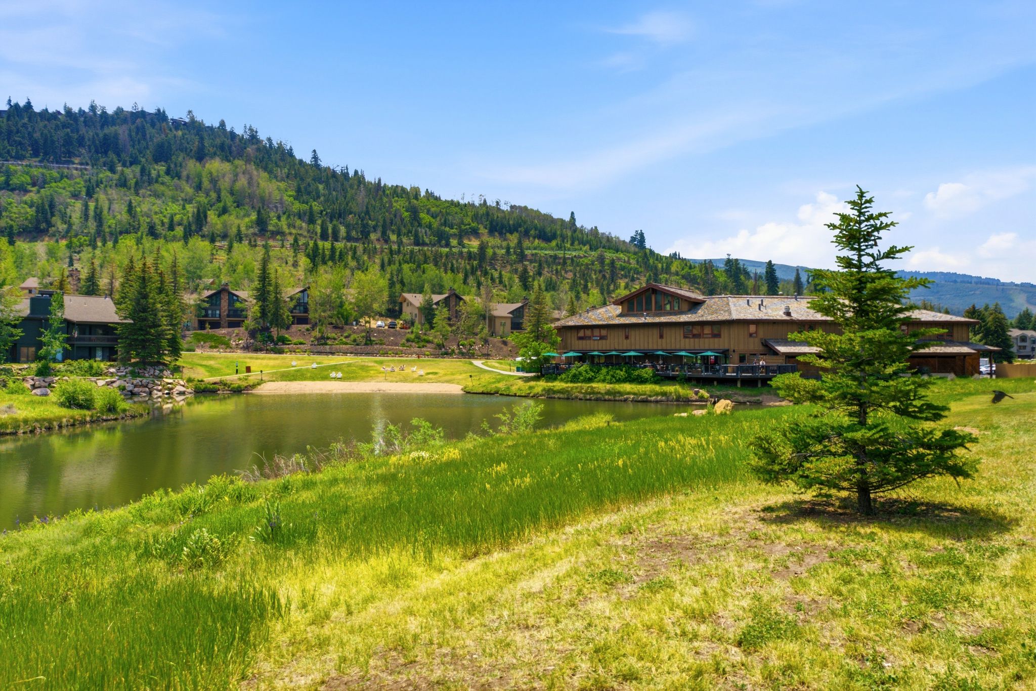 Rustic-style building with a large outdoor patio featuring green umbrellas, overlooking a natural pond