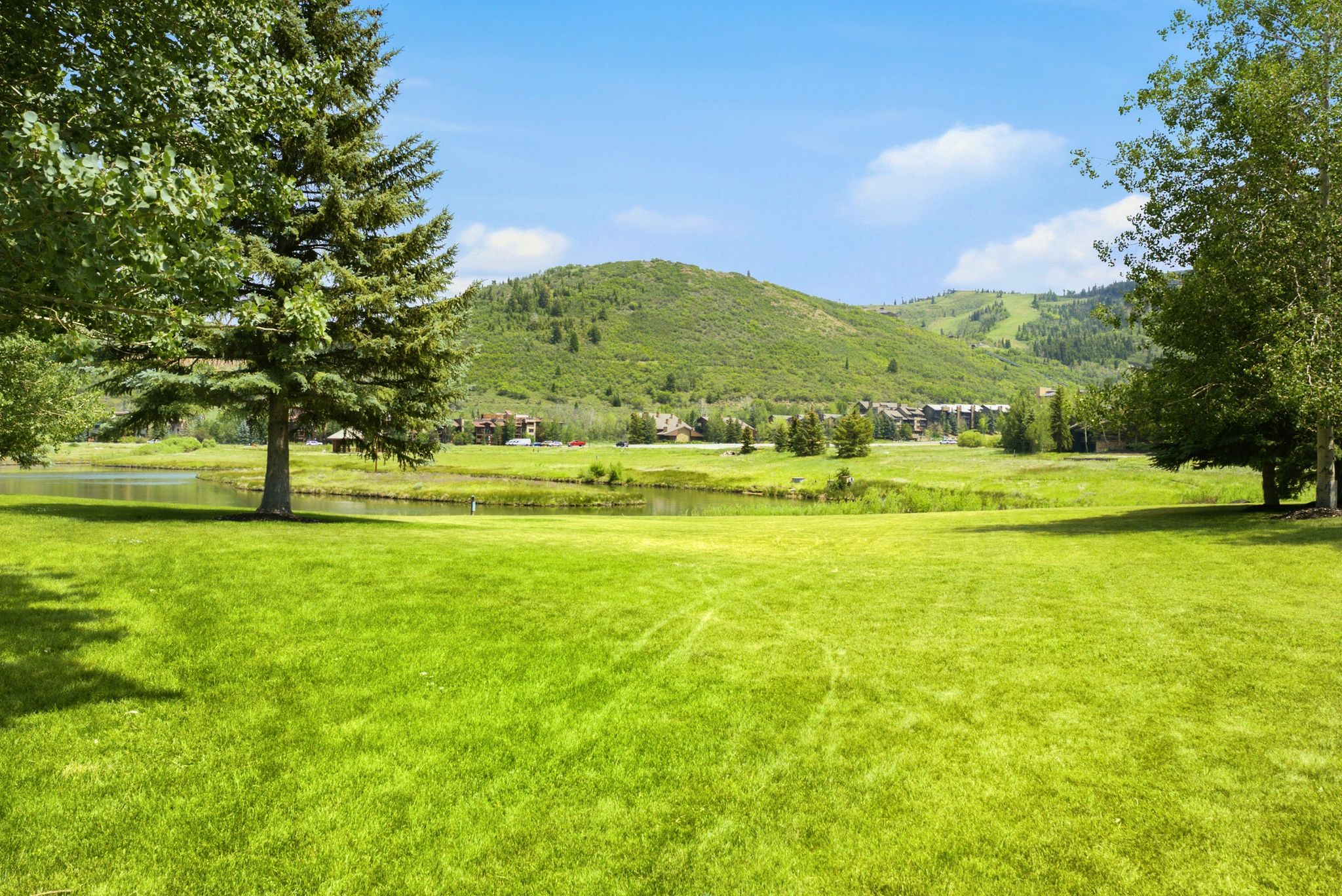 Expansive grassy lawn with mature trees and a tranquil pond, backed by rolling, treed hills