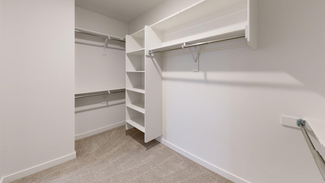 Spacious walk-in closet featuring light-colored carpeting, white walls, and built-in shelving
