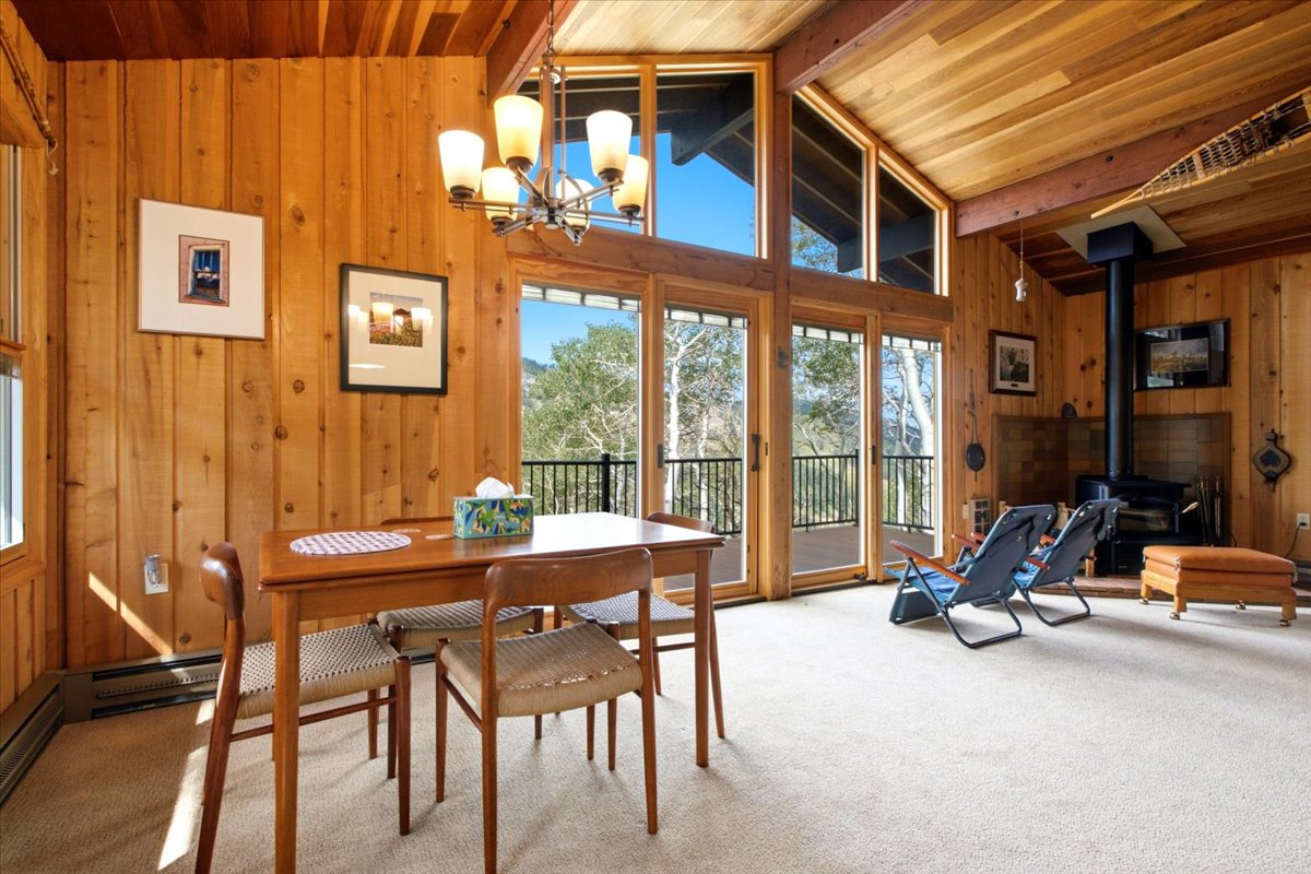 Wood-paneled room featuring a vaulted ceiling with exposed beams, large windows, a wood-burning stove, and a neutral carpeted floor
