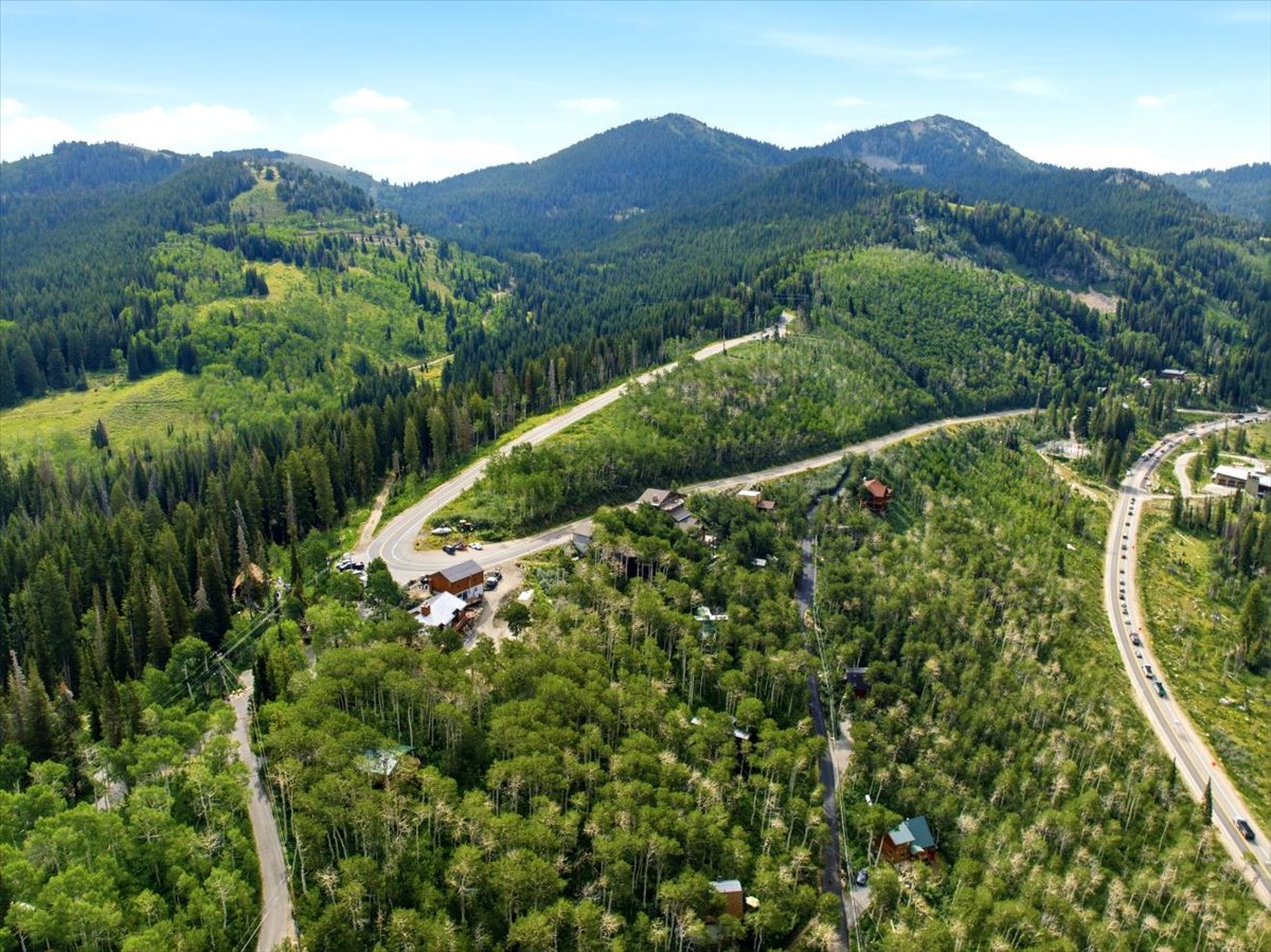 Expansive aerial perspective showcasing mountainous terrain and dense tree cover