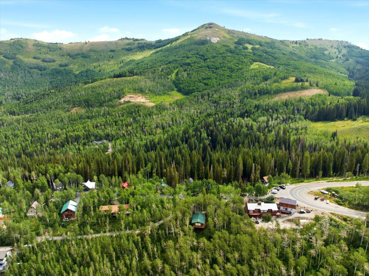 Expansive mountain landscape featuring dense evergreen forests and diverse foliage