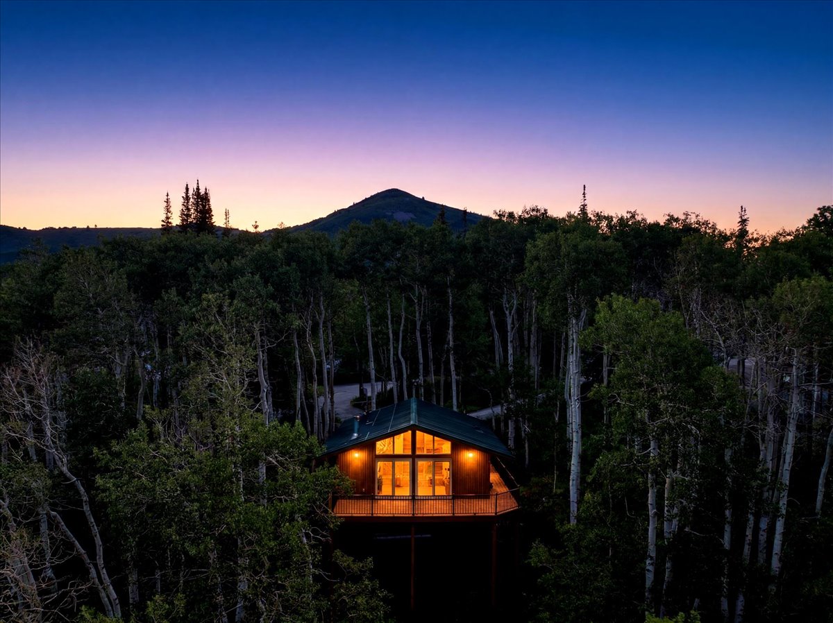 Secluded property featuring a dark green roof, wood-paneled exterior, and a prominent balcony