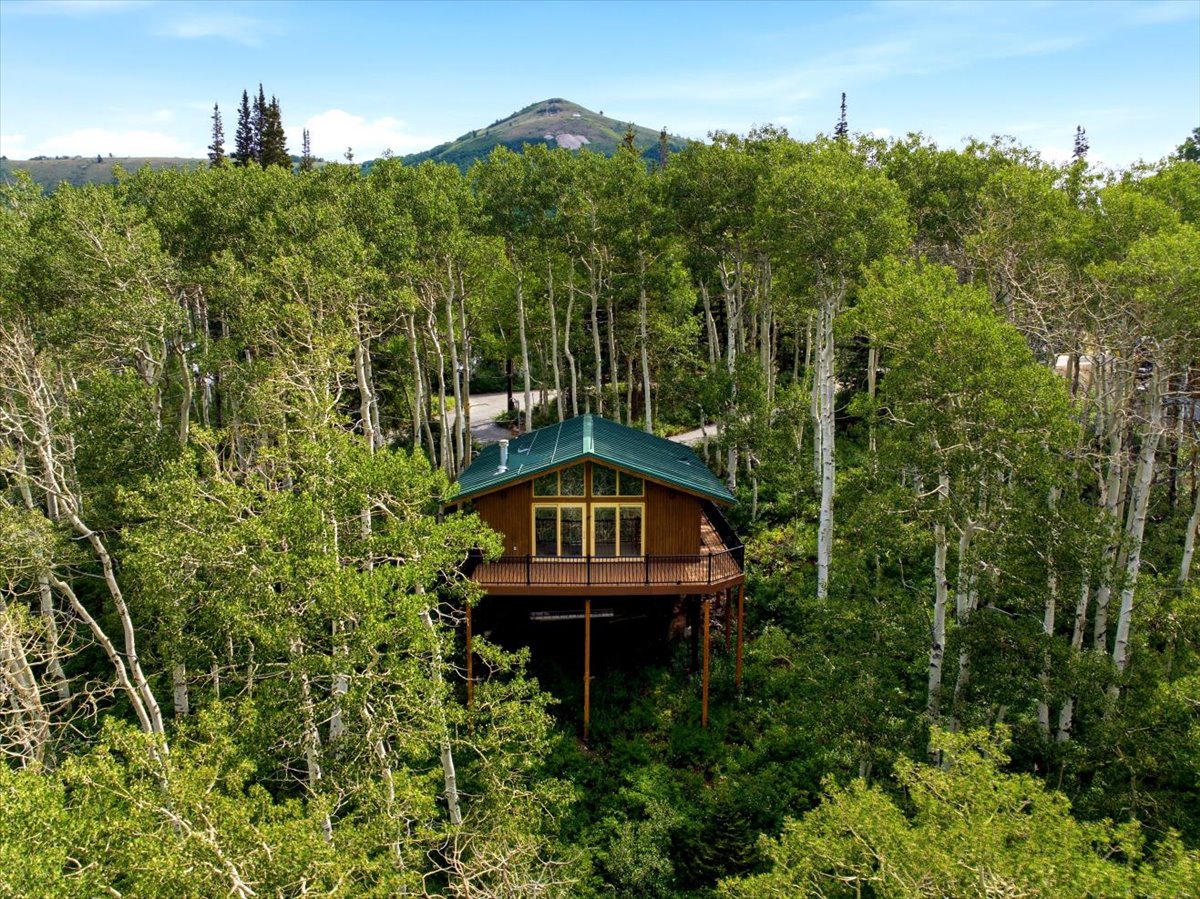 Elevated cabin-style residence set amidst abundant mature trees