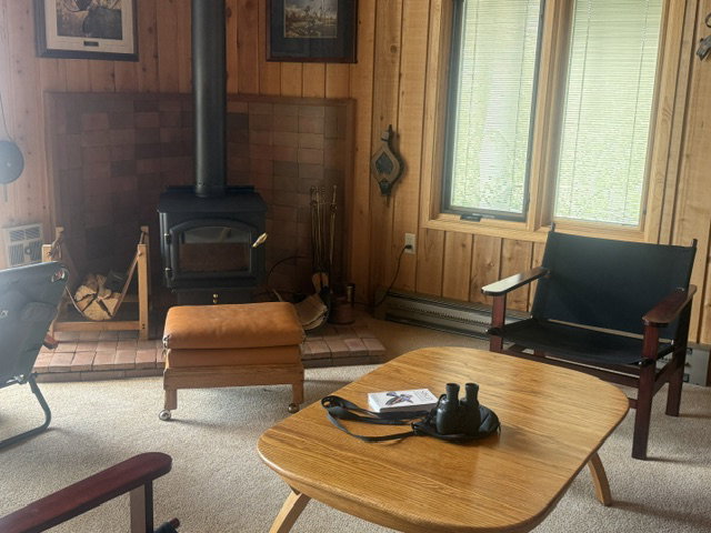 Wood-paneled room featuring a black wood-burning stove on a brick hearth, bordered by a tiled wall