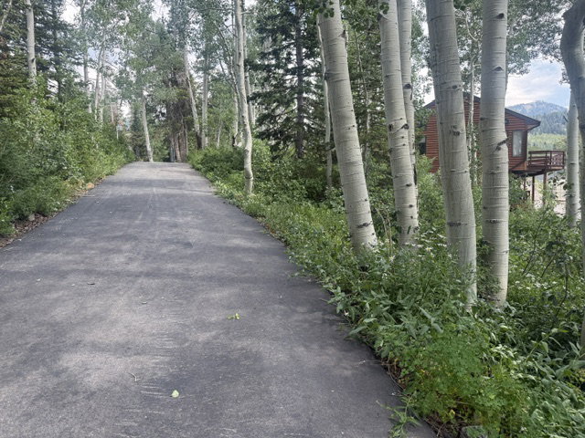 road to the cabin is paved