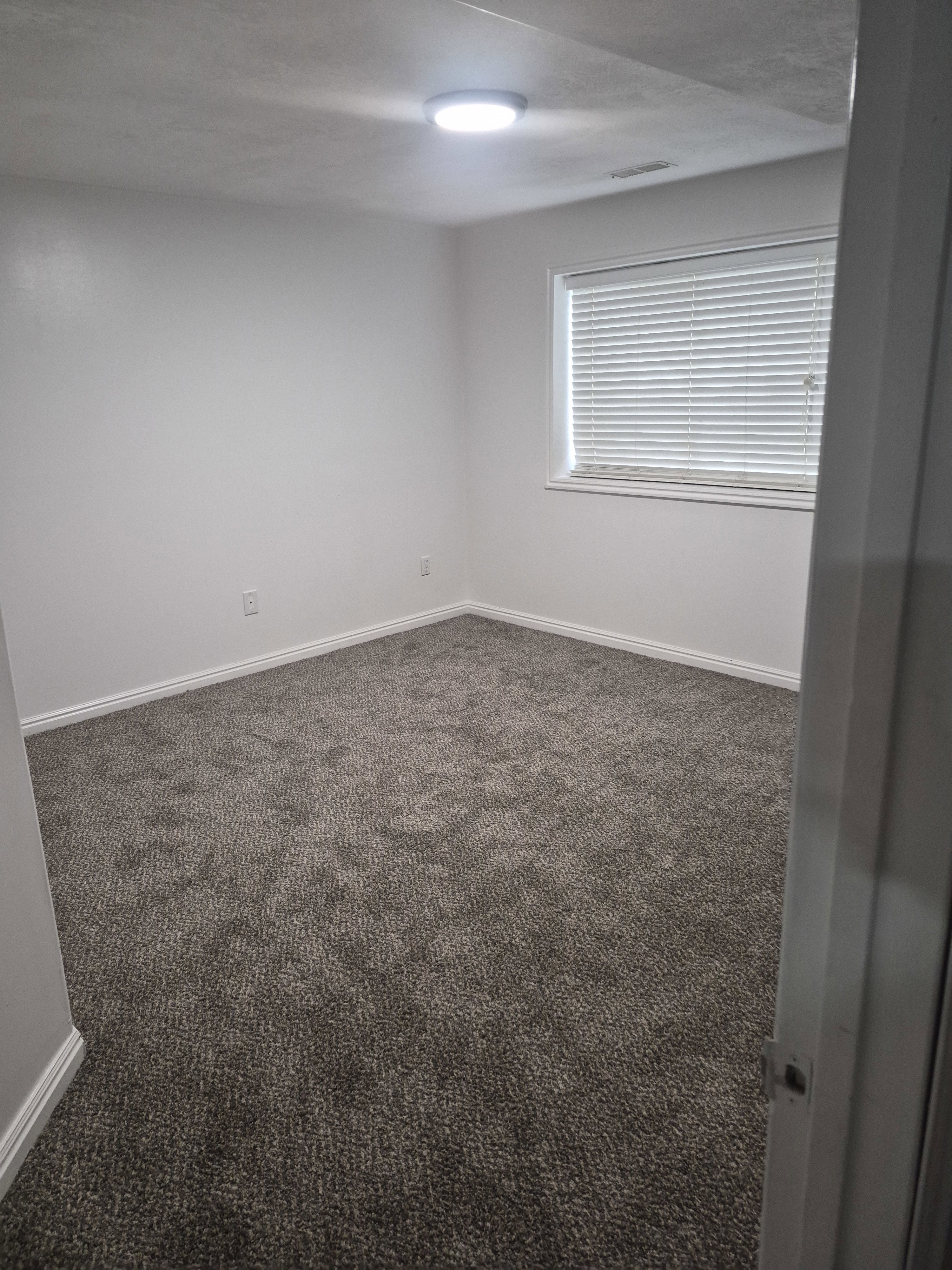 Carpeted room featuring a window with horizontal blinds, white walls, white baseboards, and a flush-mount ceiling light
