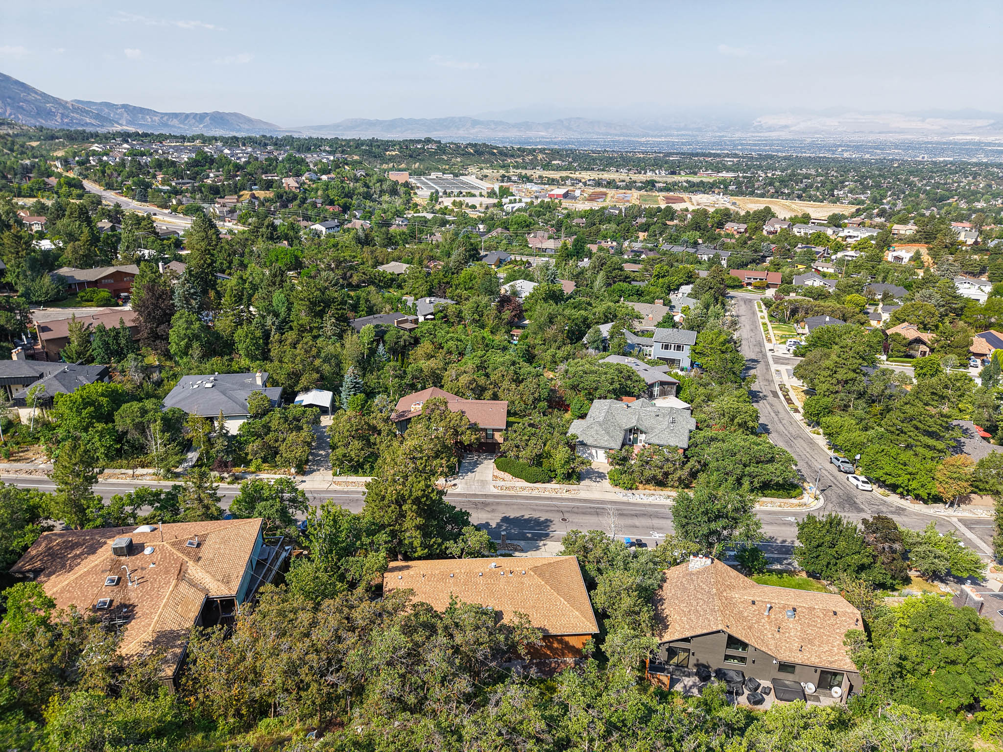Sprawling residential landscape featuring varied architectural styles and abundant mature trees
