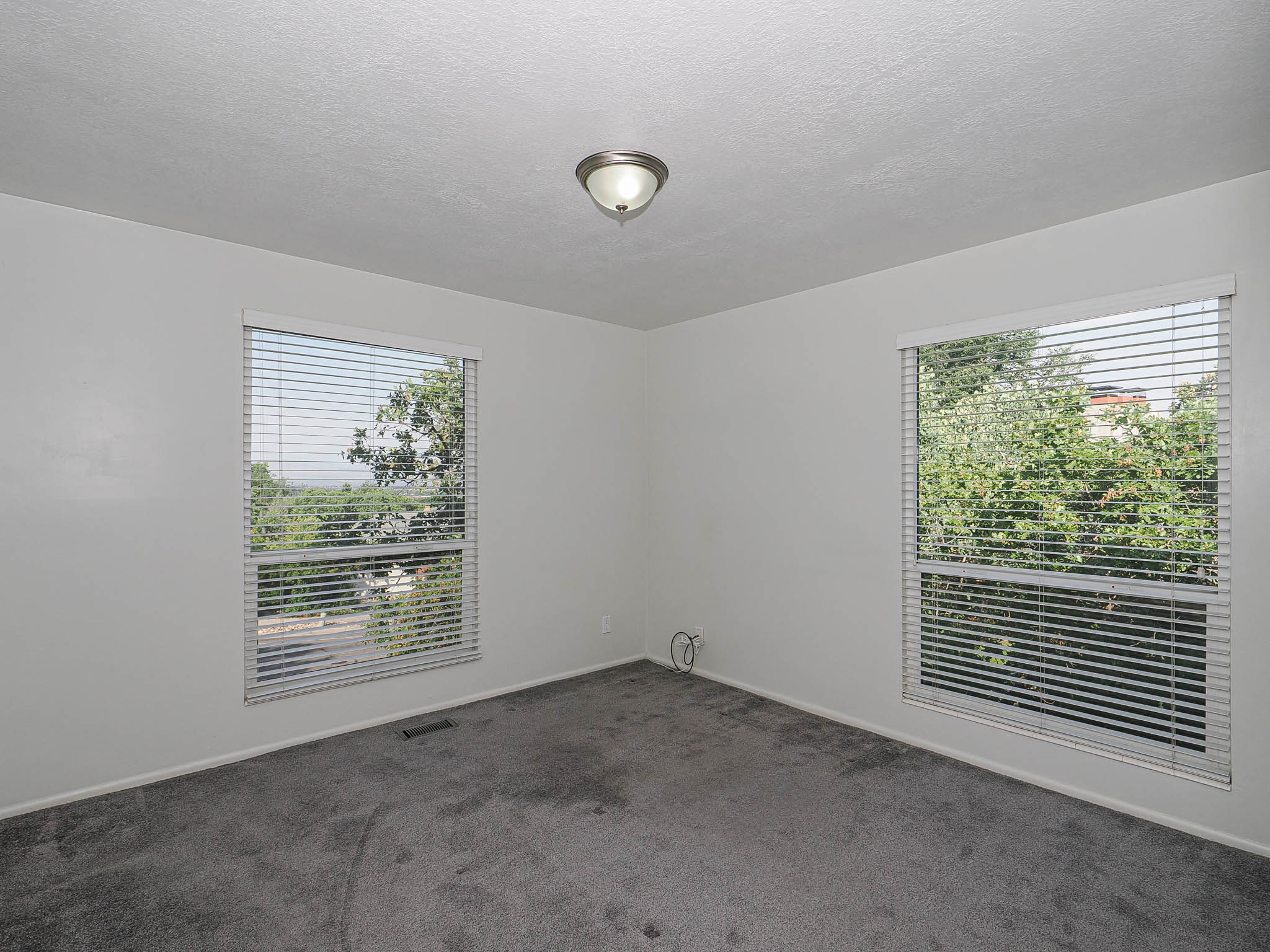 Bright room featuring two windows with blinds, gray carpet flooring, white walls, and a ceiling-mounted light fixture