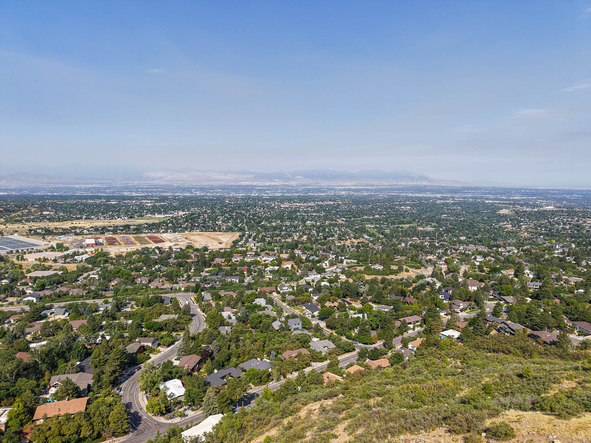 Expansive aerial perspective showcasing a mature residential area with abundant tree coverage and a mountainous backdrop