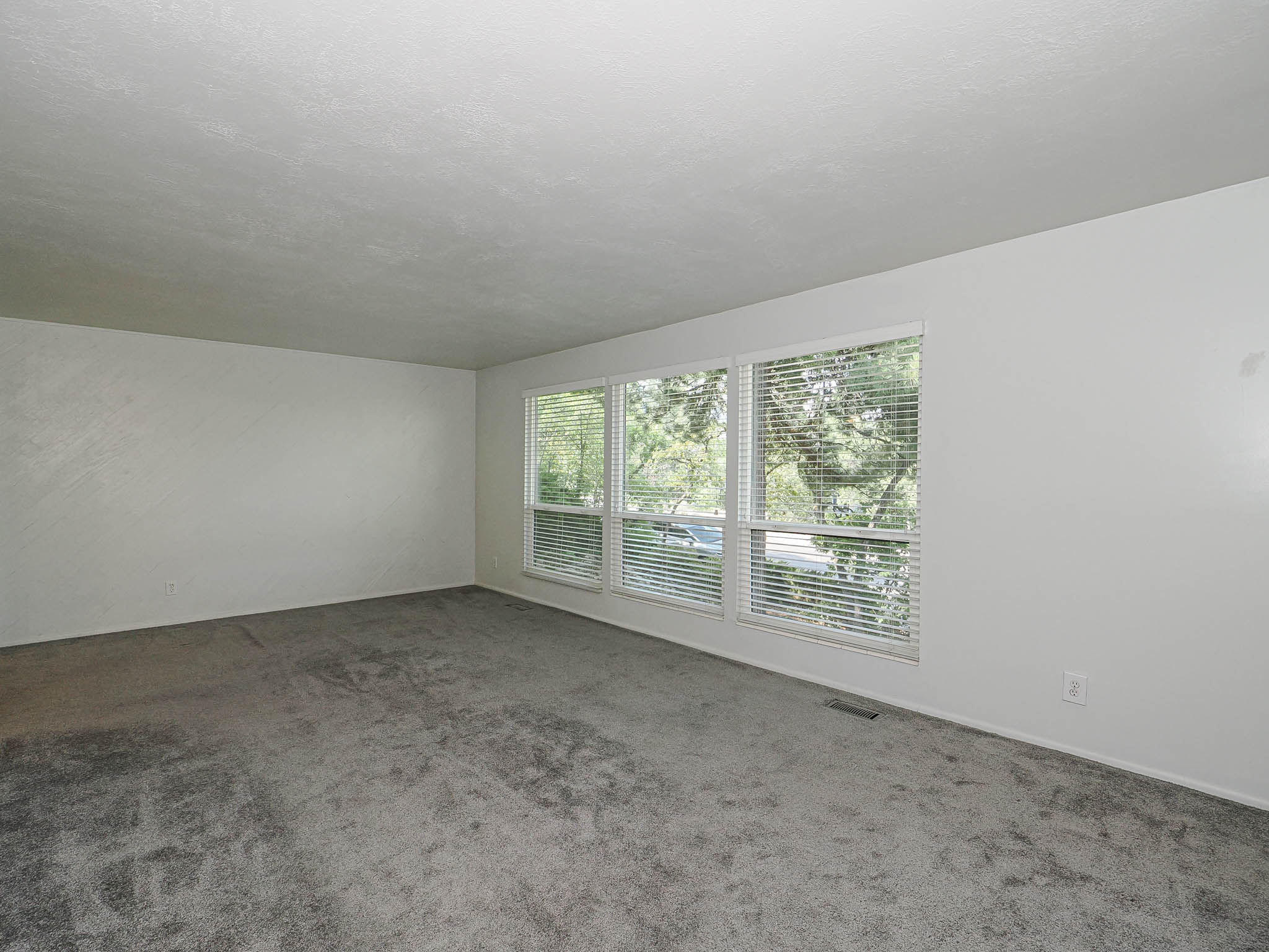 Spacious interior room featuring light-colored walls and grey carpeting