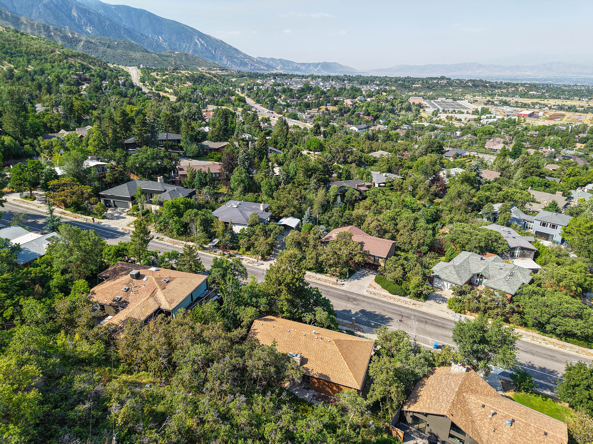 Aerial perspective showcasing a residential area nestled among abundant mature trees, with mountain terrain in the background