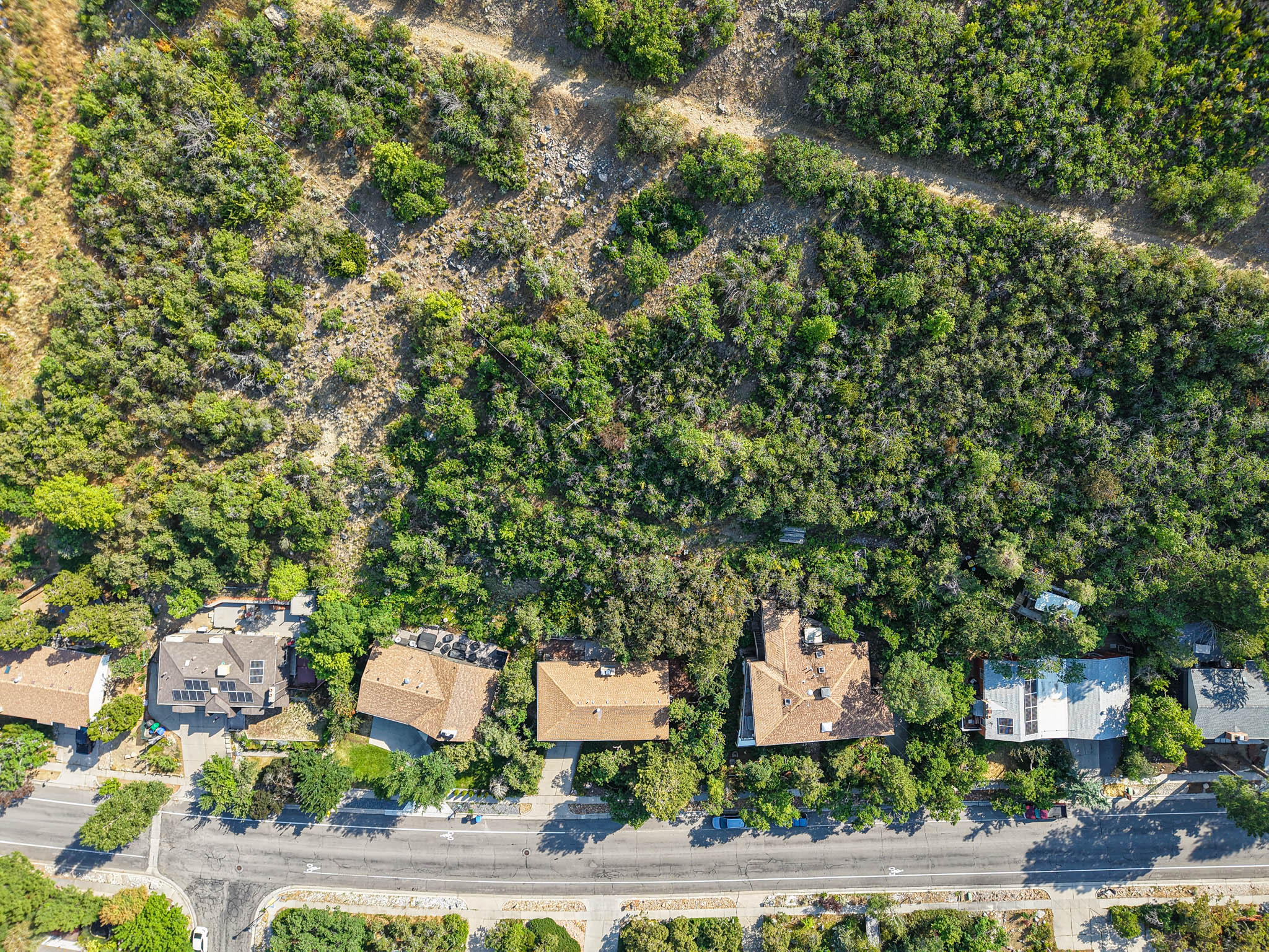 Aerial perspective showcasing multiple properties nestled against a heavily vegetated hillside