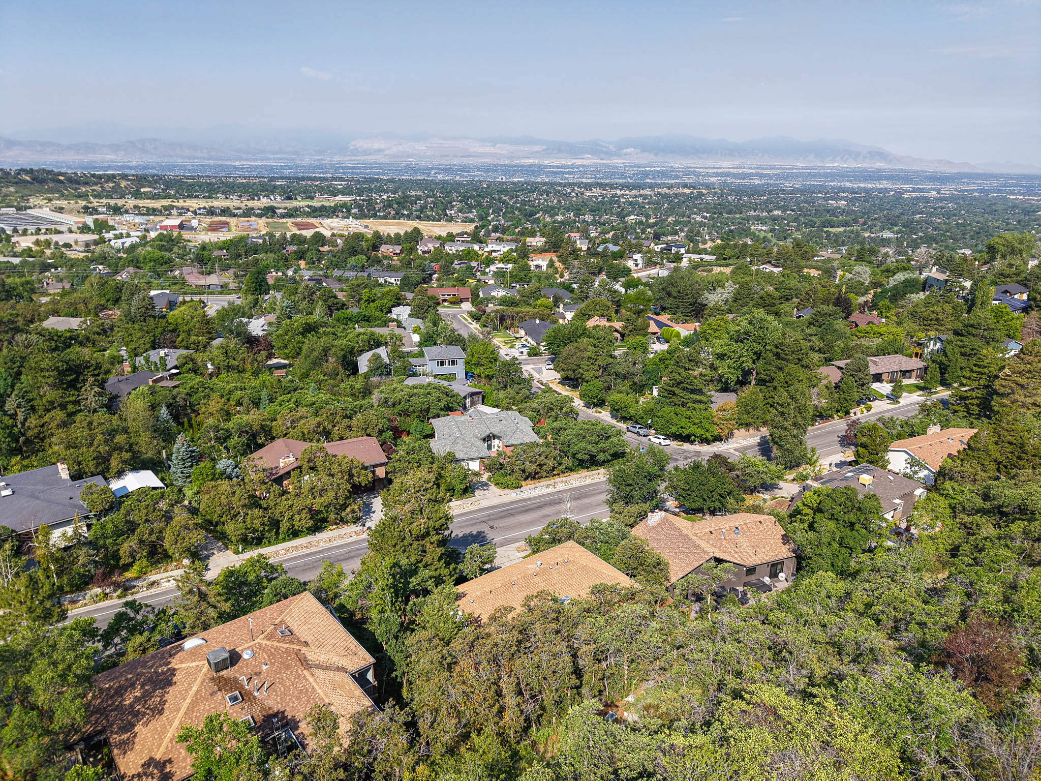 Residential neighborhood featuring mature tree canopy, varied architectural styles, and distant mountain range