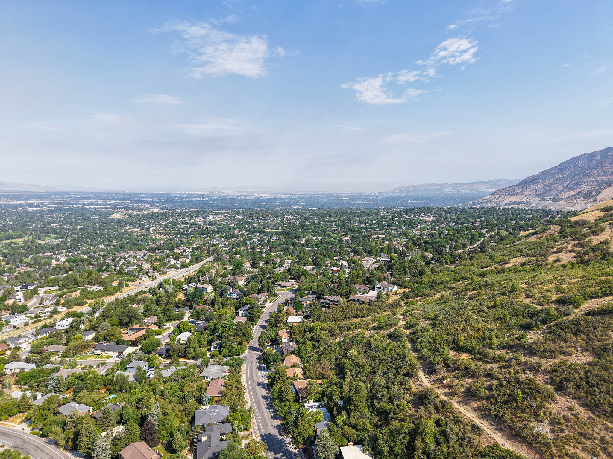 Expansive aerial perspective showcasing a verdant residential area with mature tree coverage