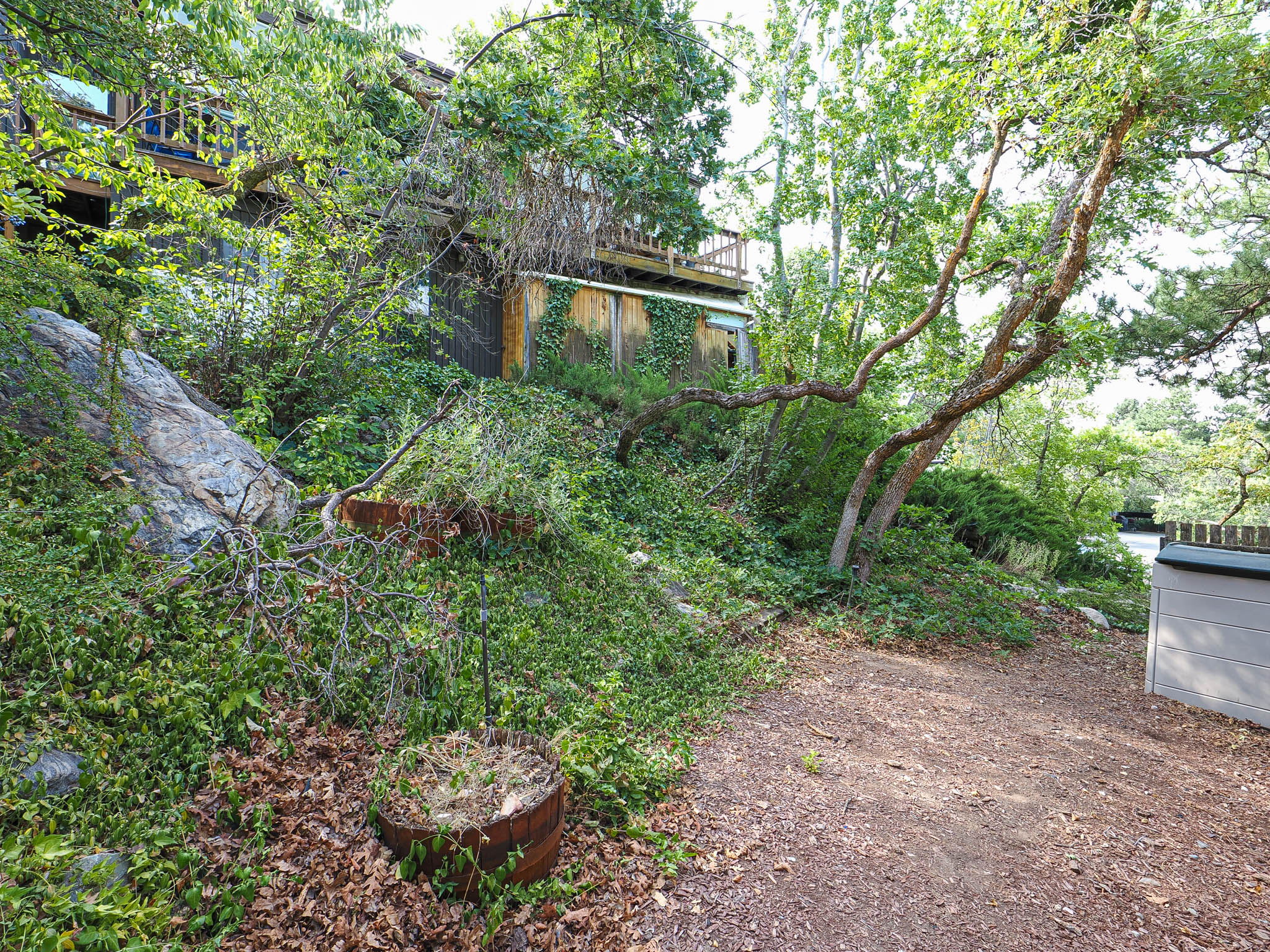 Terraced landscape featuring mature trees and established ground cover