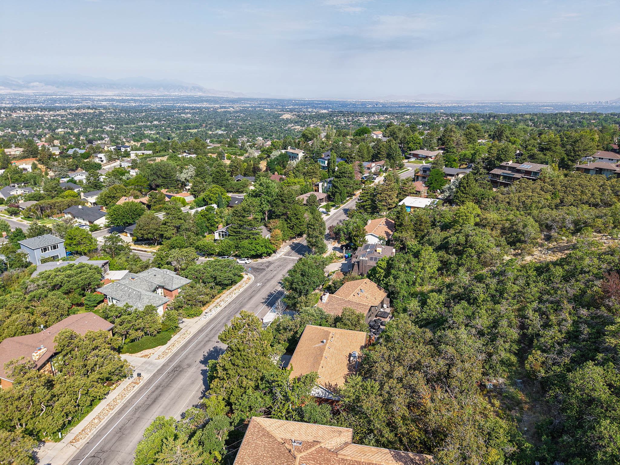 Expansive tree-lined neighborhood with varied roofing styles and a broad urban expanse