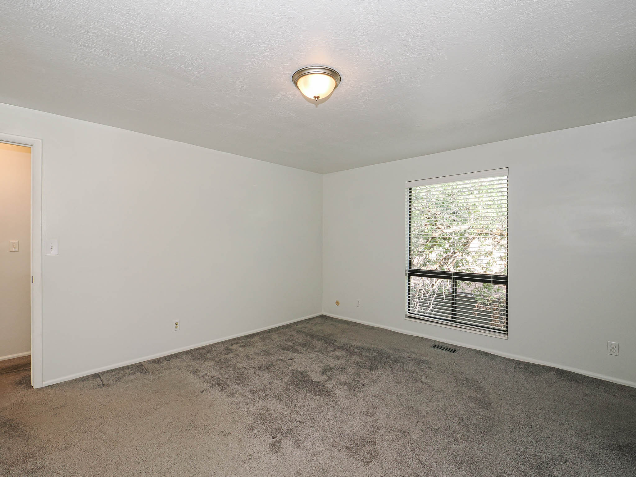Carpeted room with a large window featuring horizontal blinds