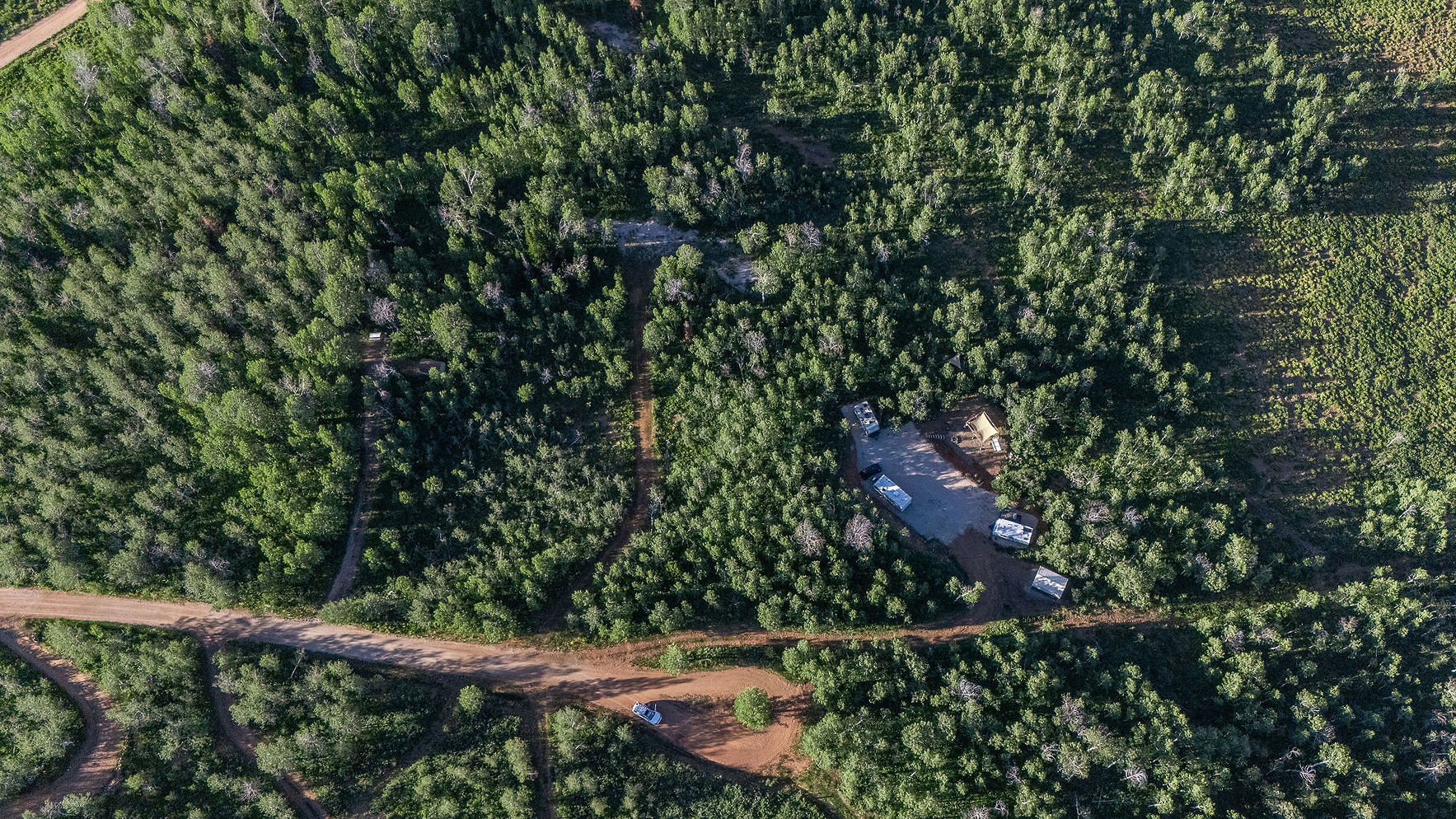 Expansive wooded acreage featuring mature trees, a cleared central area, and visible dirt road access