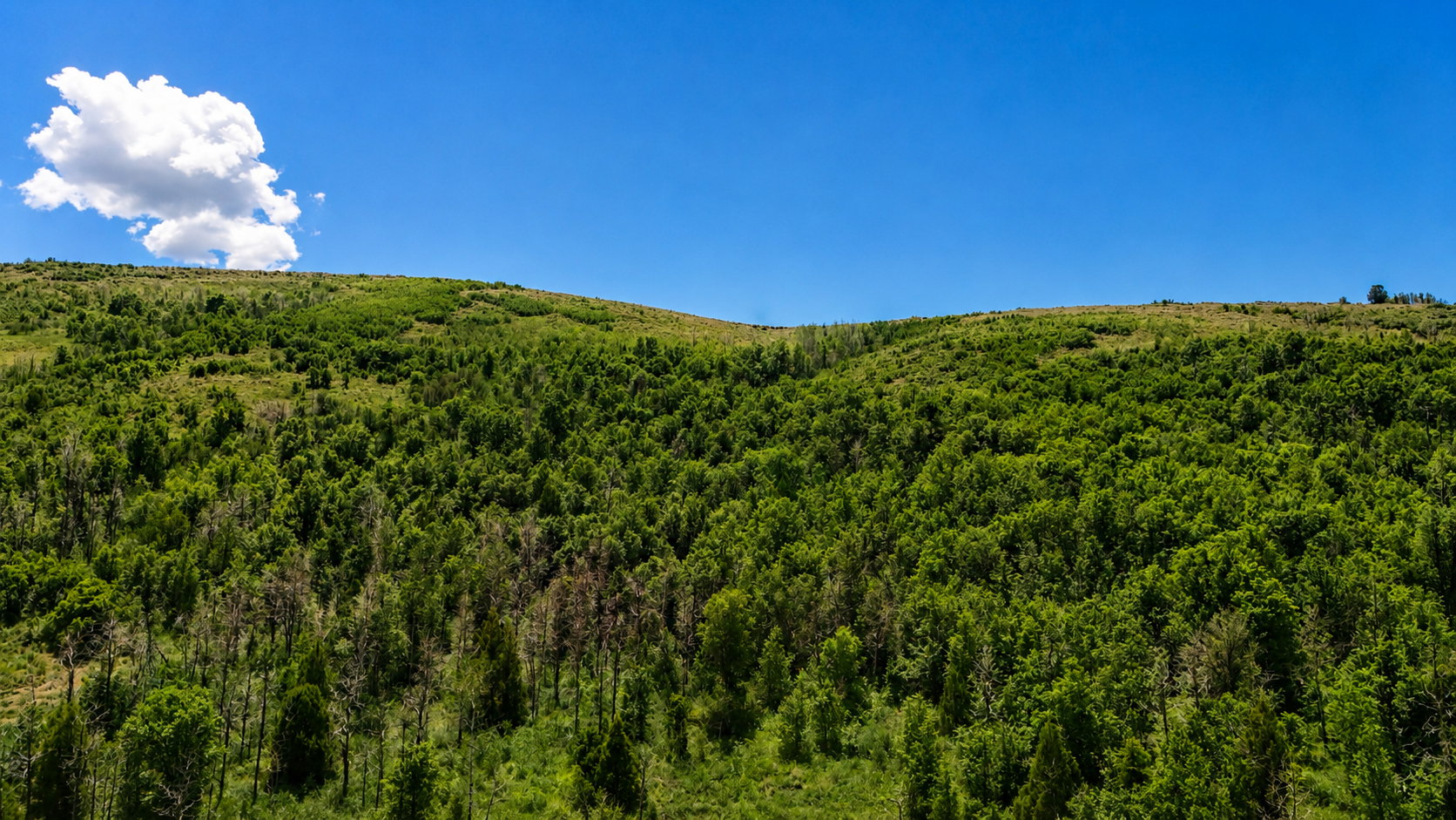 Mountain view
