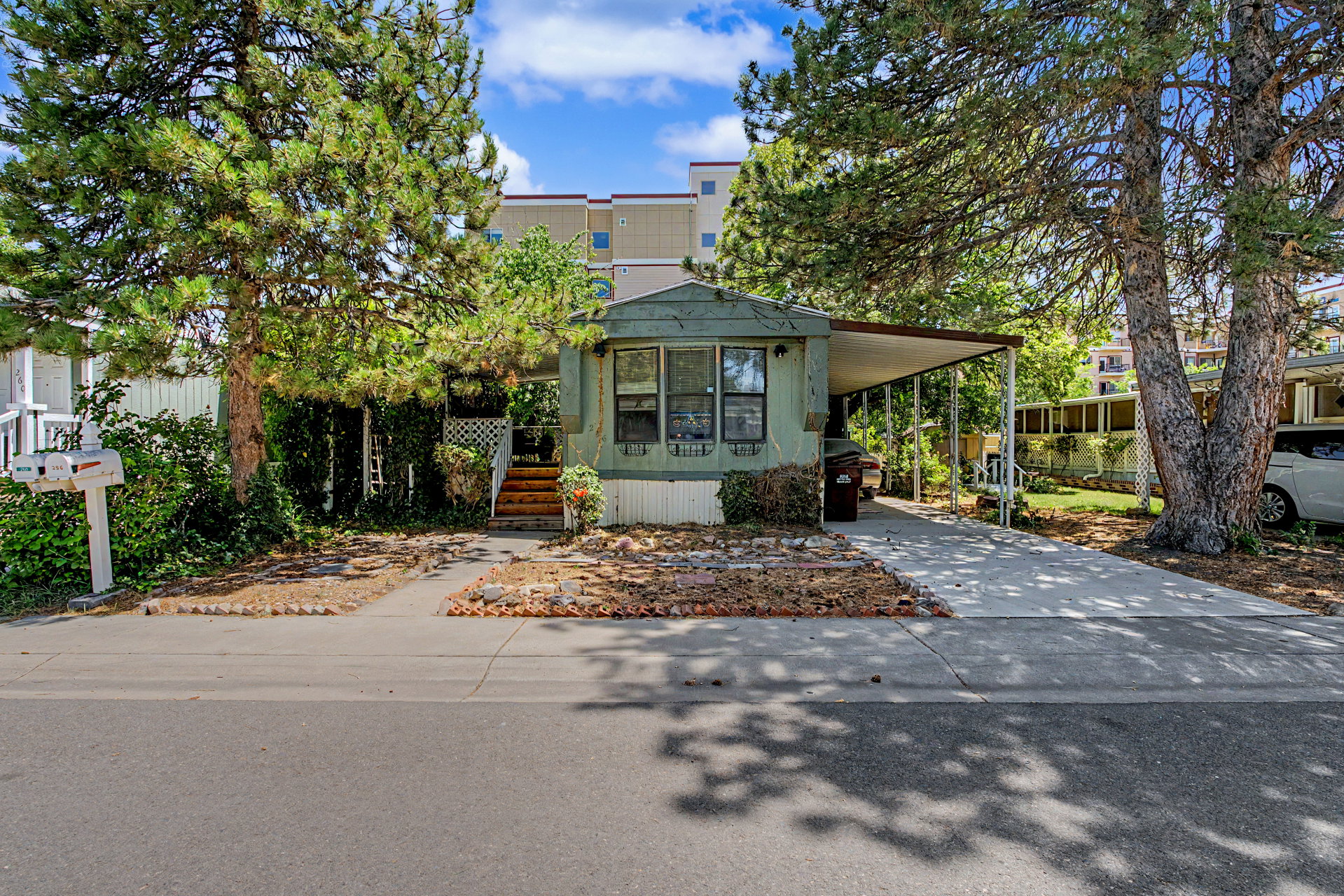 Single-story residence featuring a covered entry porch, a carport, a paved driveway, and mature trees