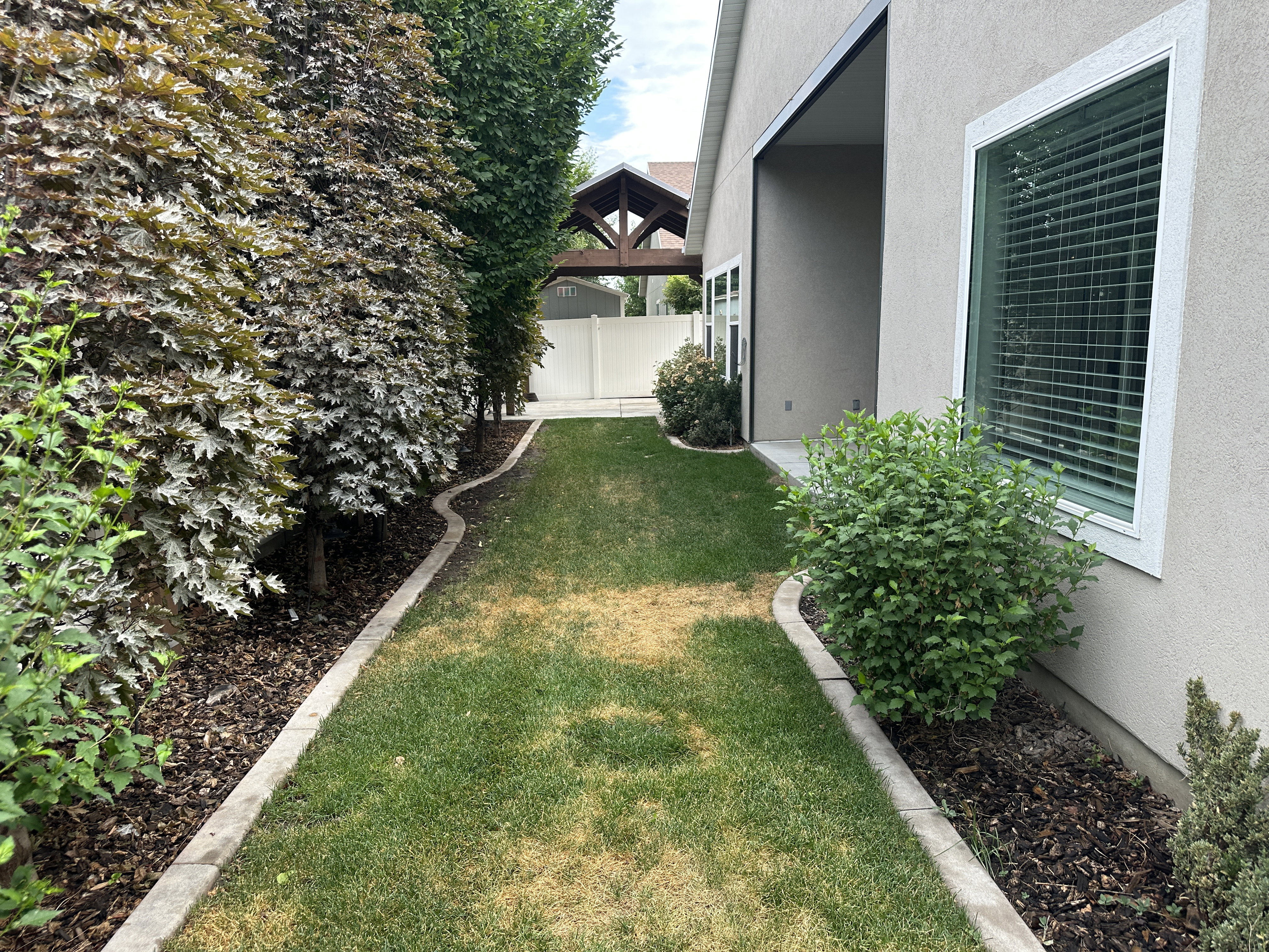 Grassed side yard featuring mature privacy trees and shrubs