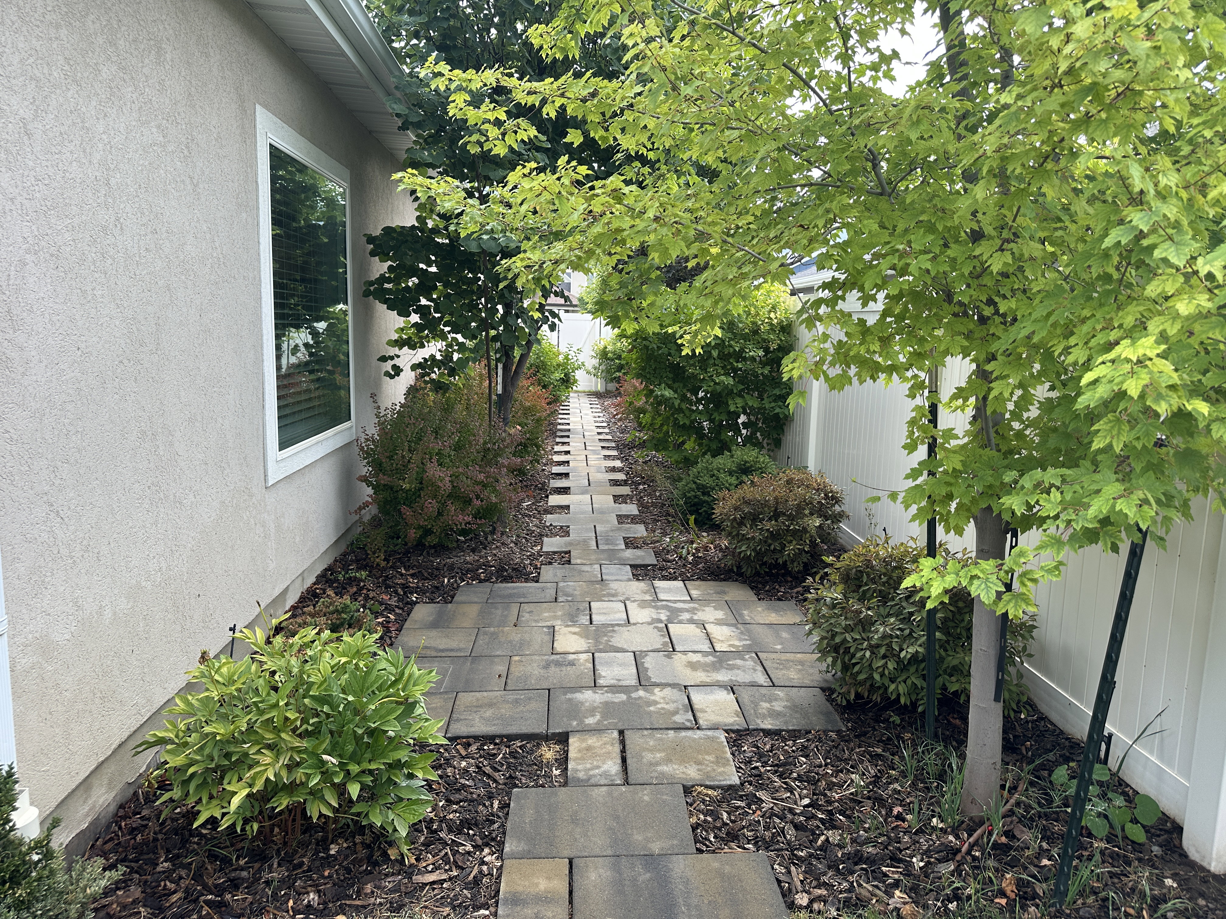 Stucco exterior with a paver stone walkway, mature trees, diverse shrubbery, and a white privacy fence