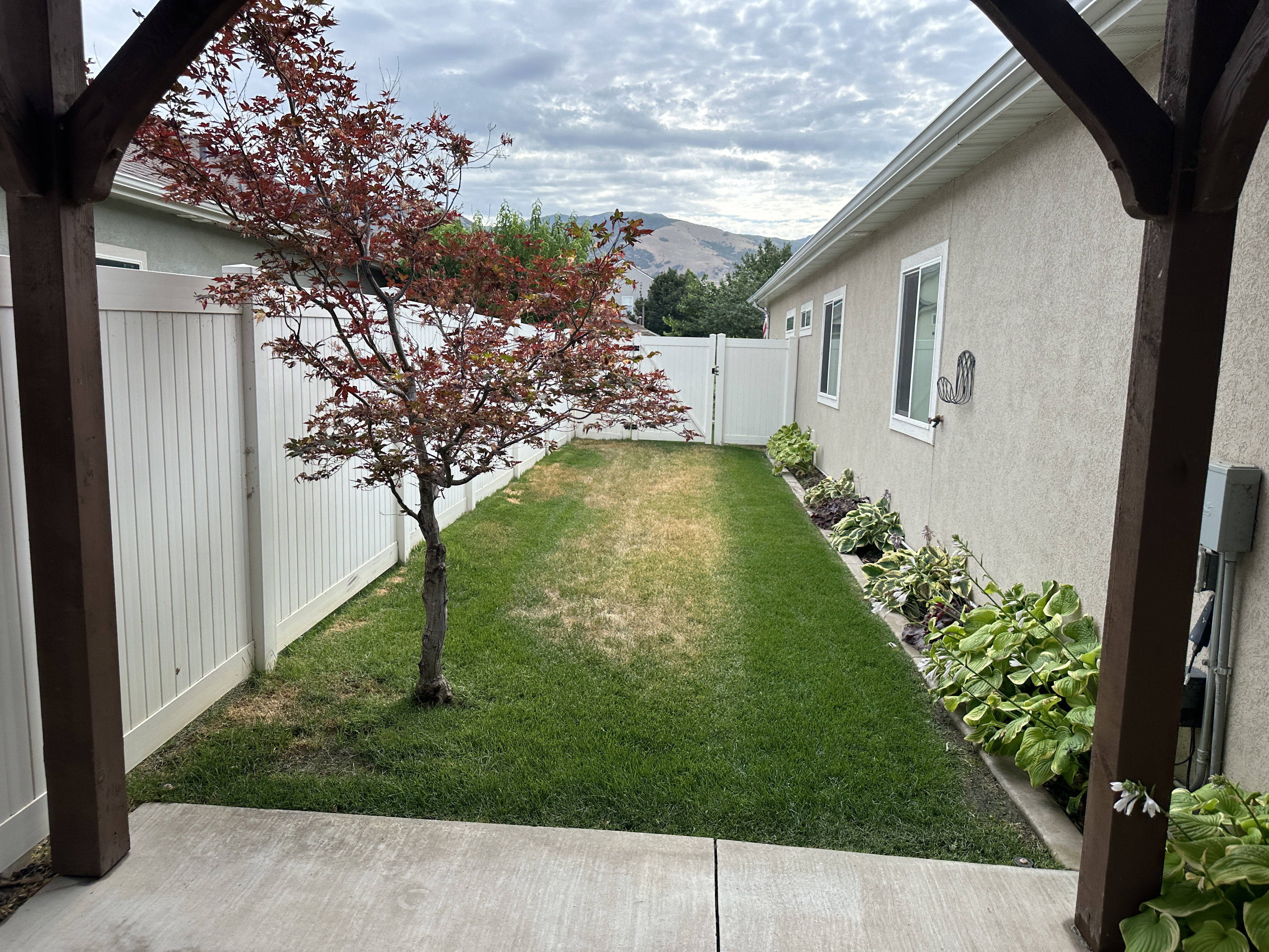 Enclosed backyard featuring a concrete patio, manicured lawn, and a mature ornamental tree