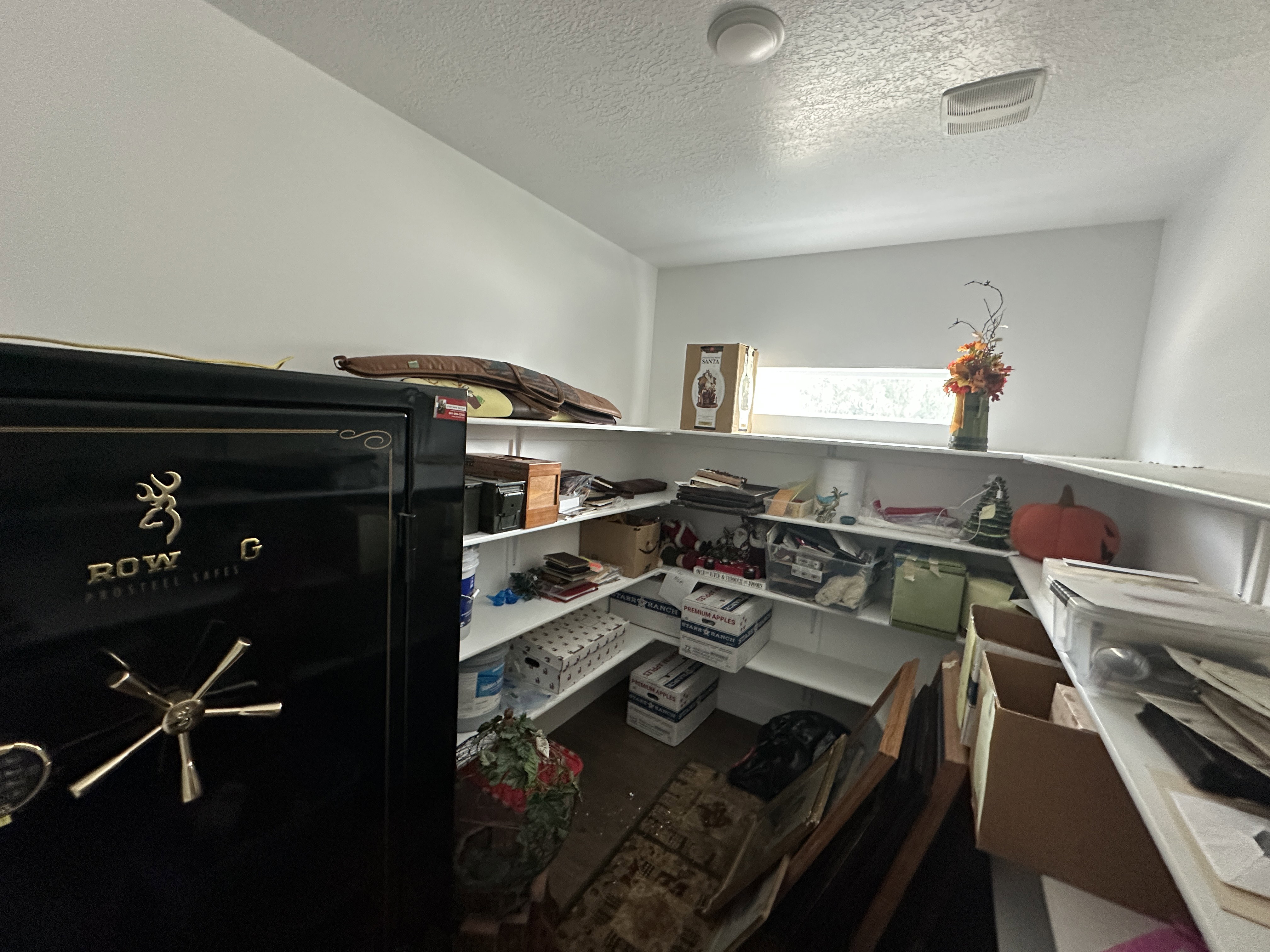 Storage with Gun safe included in sale