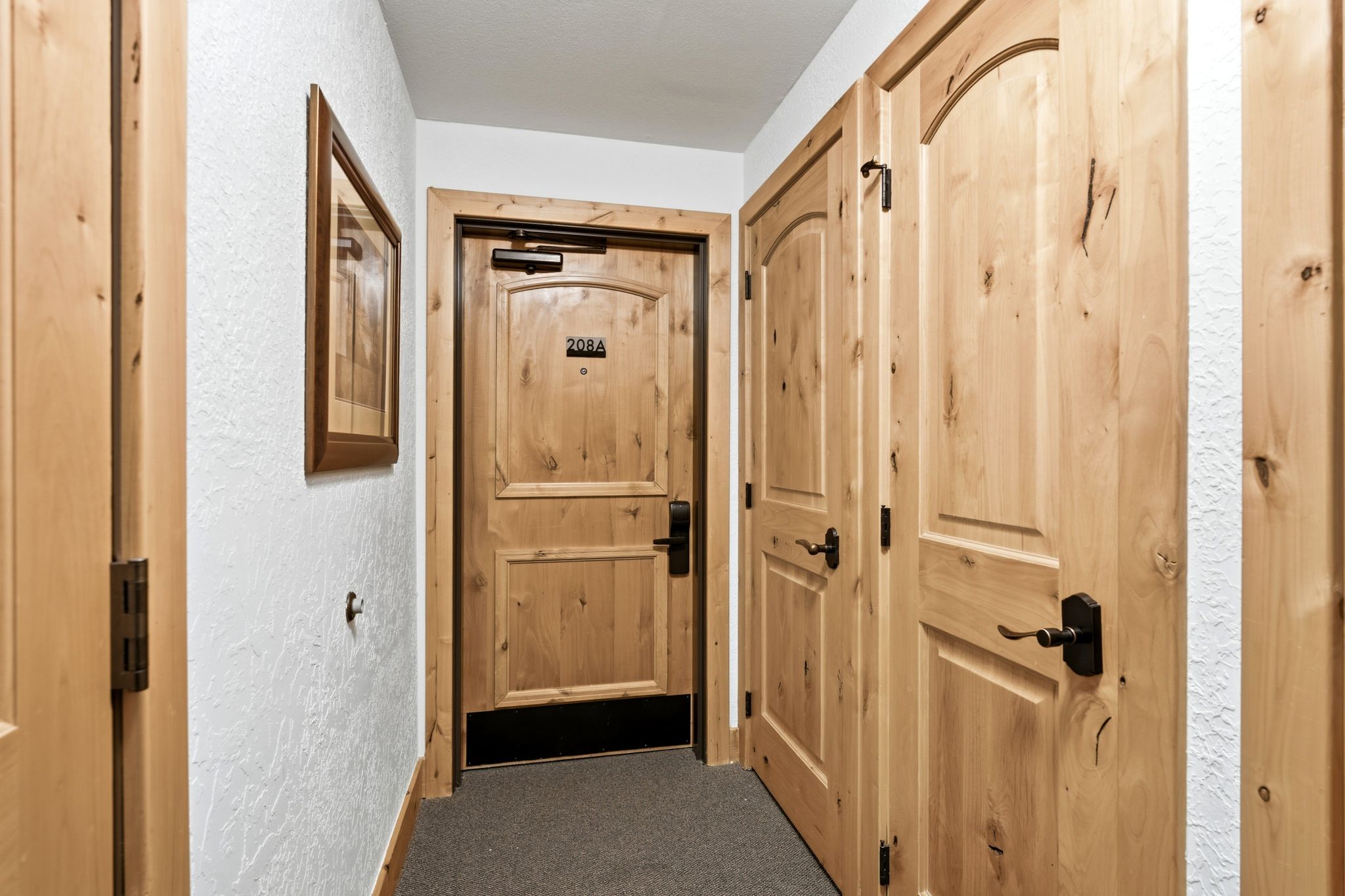 Knotty alder entry door with black hardware, flanked by two matching arched panel interior doors