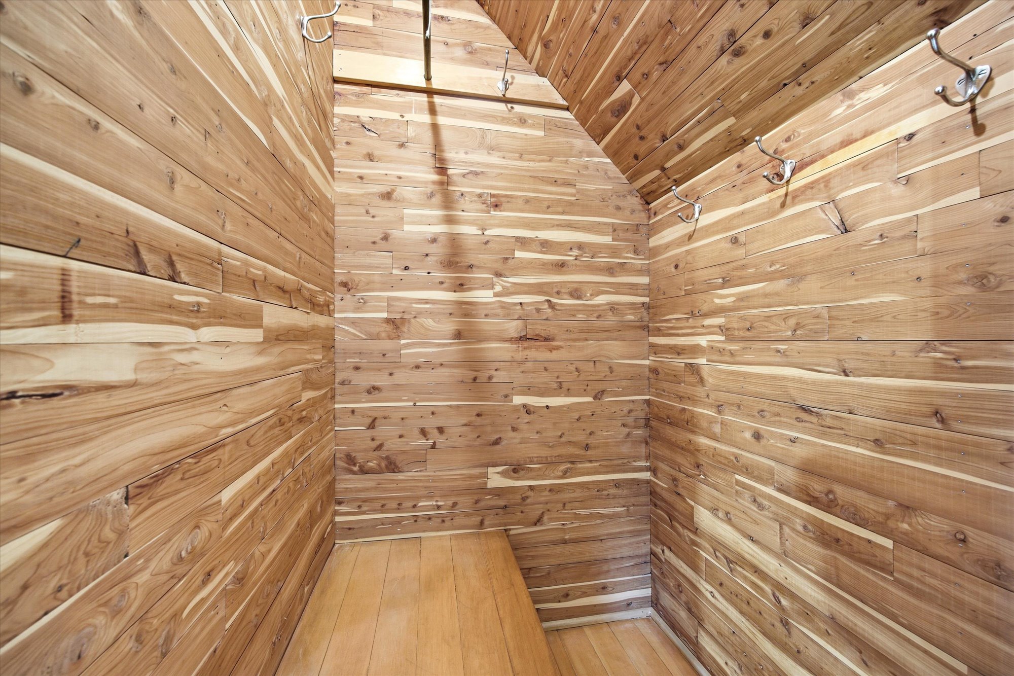 Cedar-lined closet featuring sloped ceiling, wood-finish flooring, and multiple wall-mounted hooks