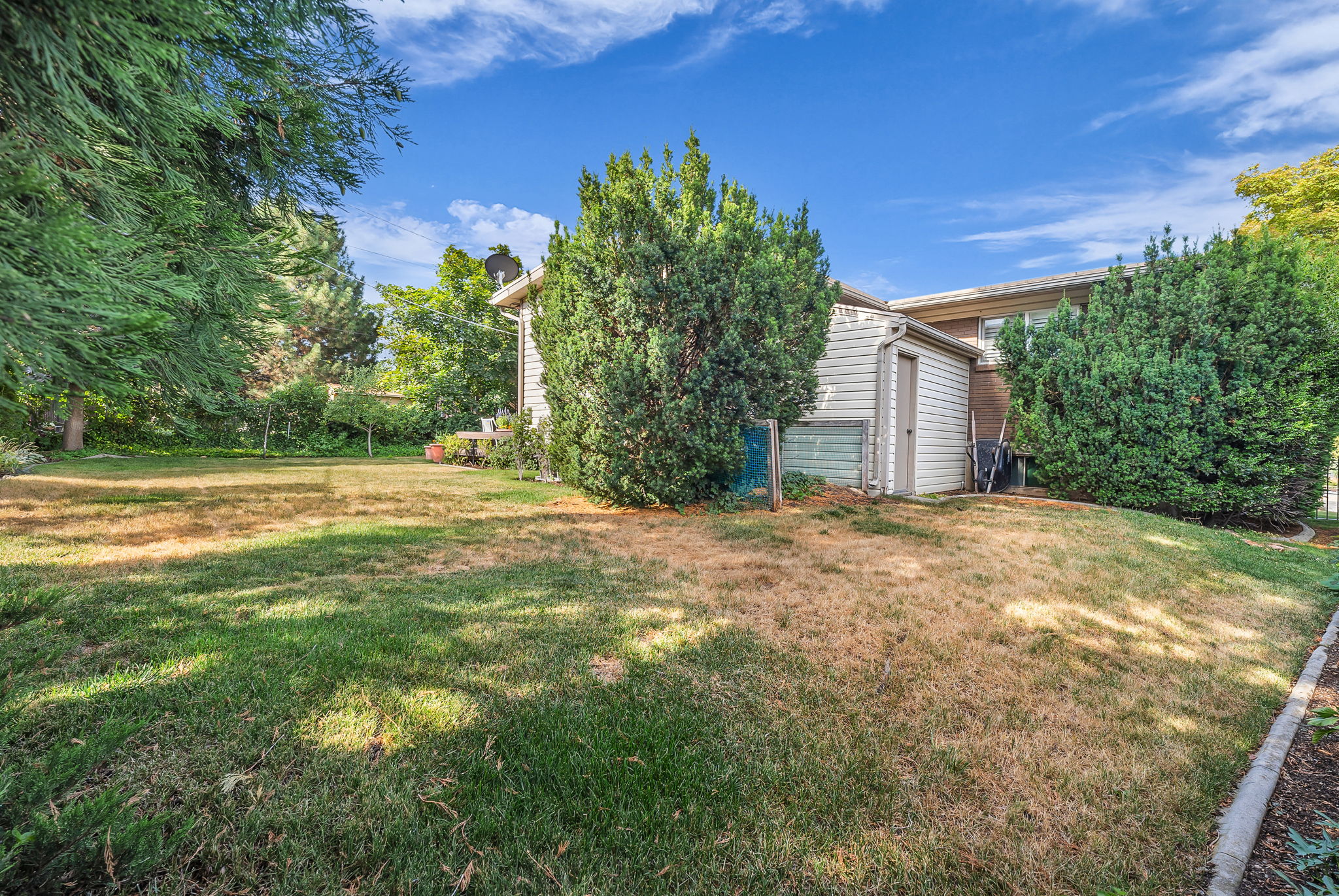 Shed attached to the house and back yard