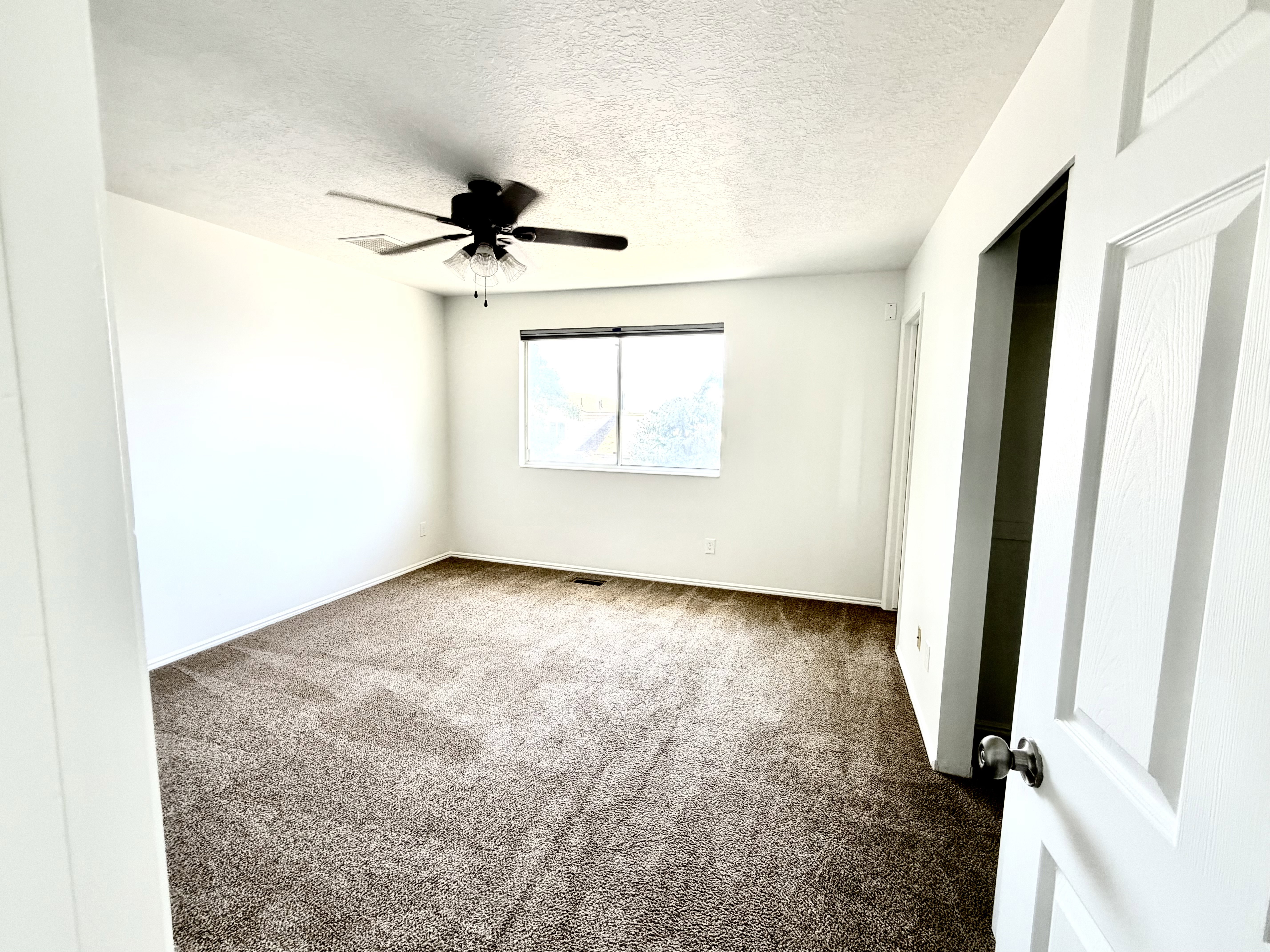 Spacious room featuring neutral carpeting, white painted walls, a ceiling fan with integrated lighting, a single window, and a white interior door