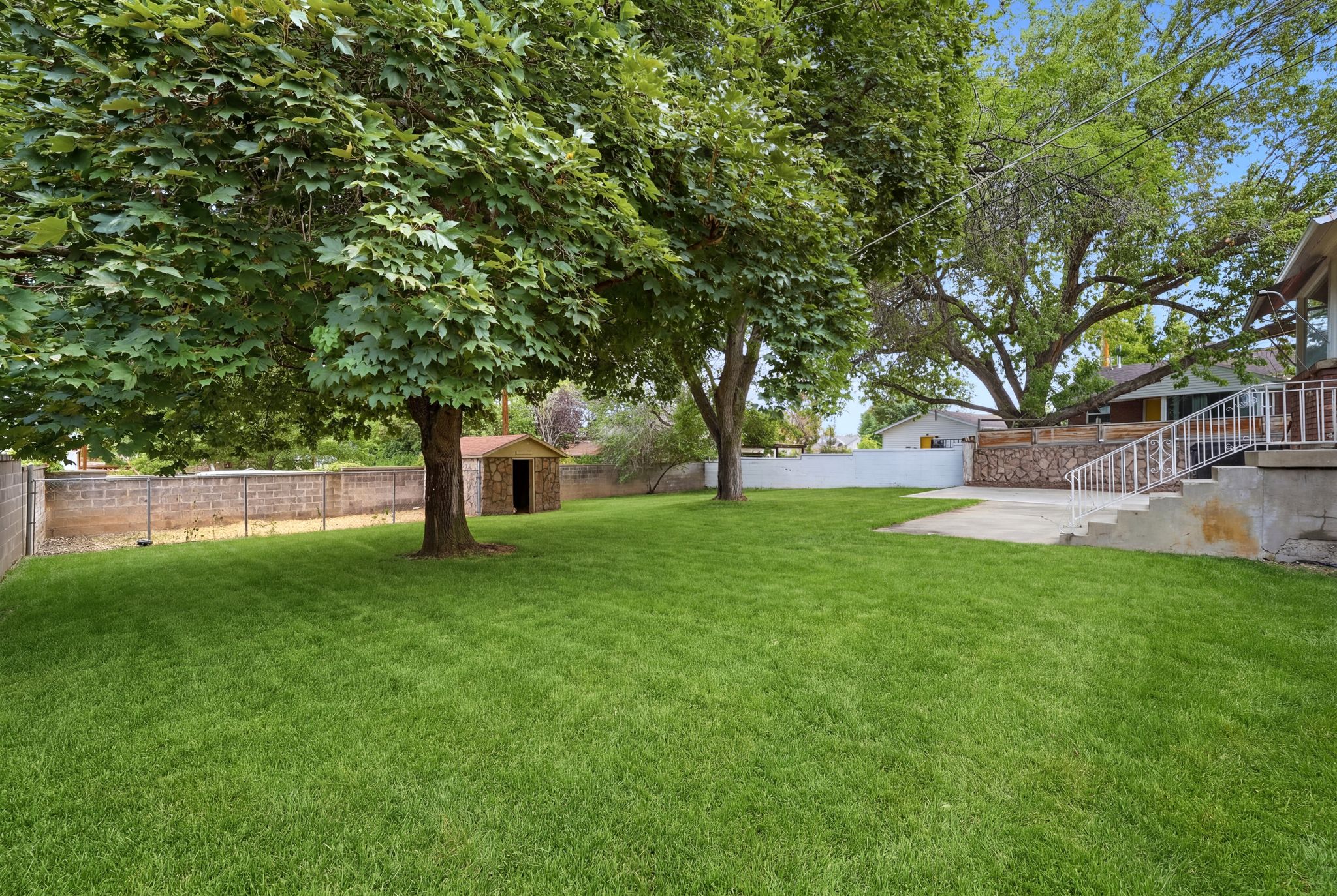 Expansive rear yard featuring mature trees, a concrete patio, and a storage shed