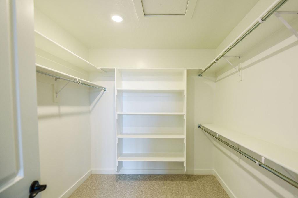 Walk-in closet featuring carpet flooring, built-in shelving, hanging rods, and recessed lighting