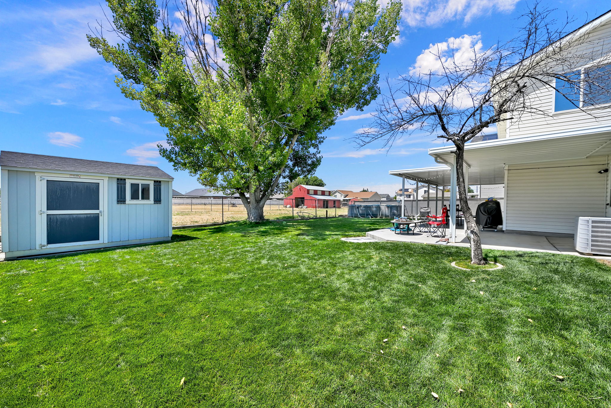 Generous rear yard featuring a large storage shed, mature perimeter tree, covered patio, and central lawn space