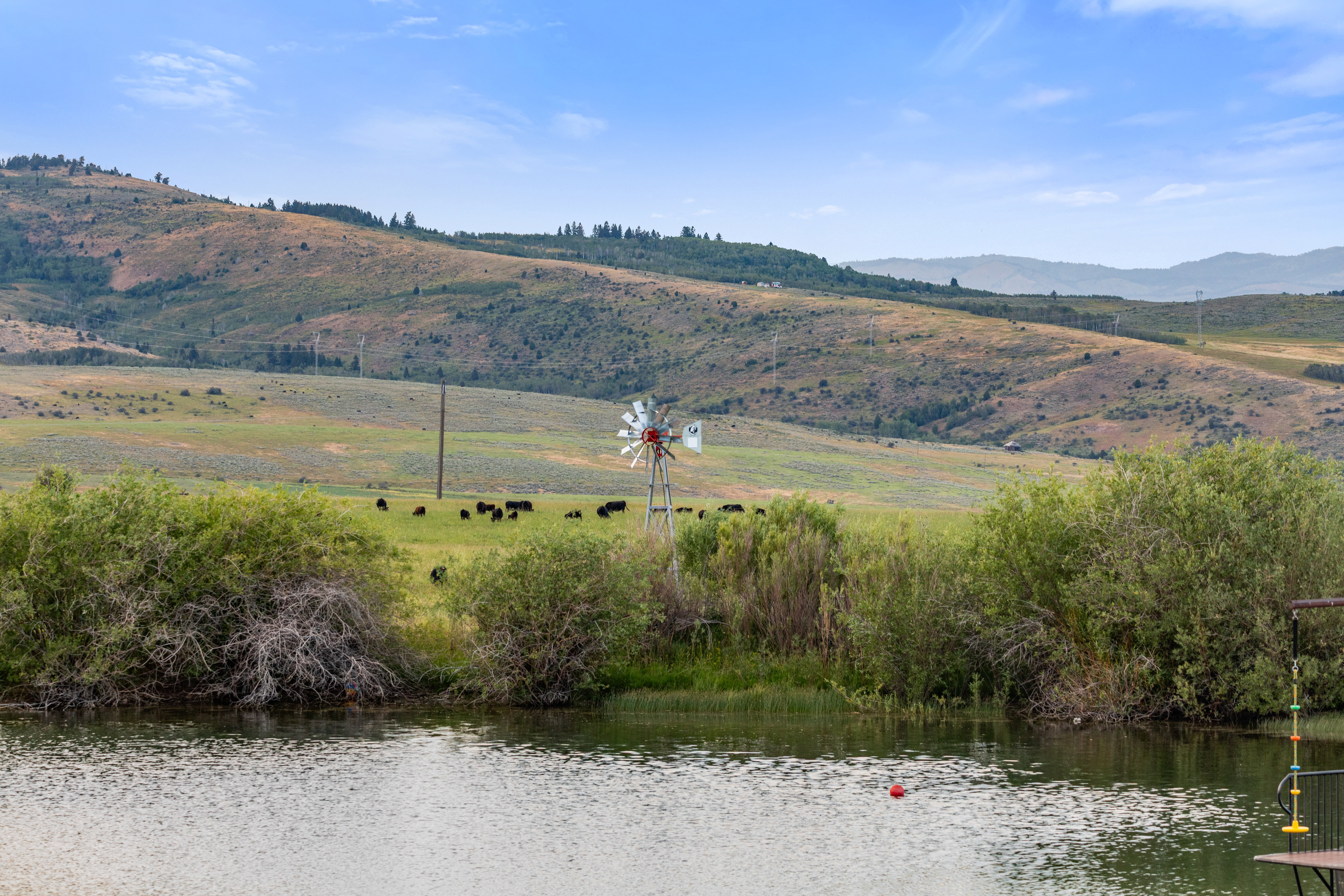 Expansive water feature with natural surroundings