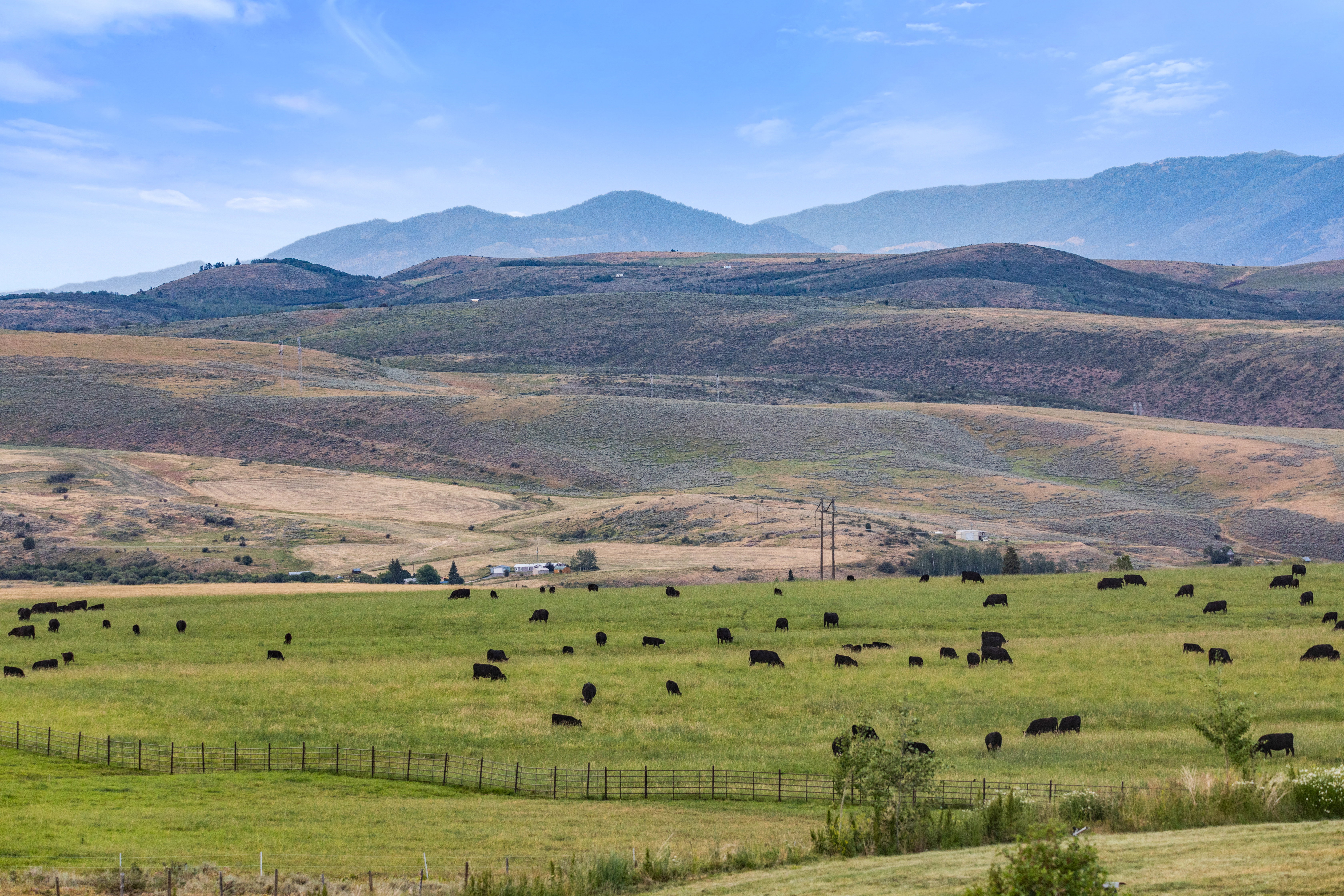 Expansive green pastures with rolling hills and distant mountains