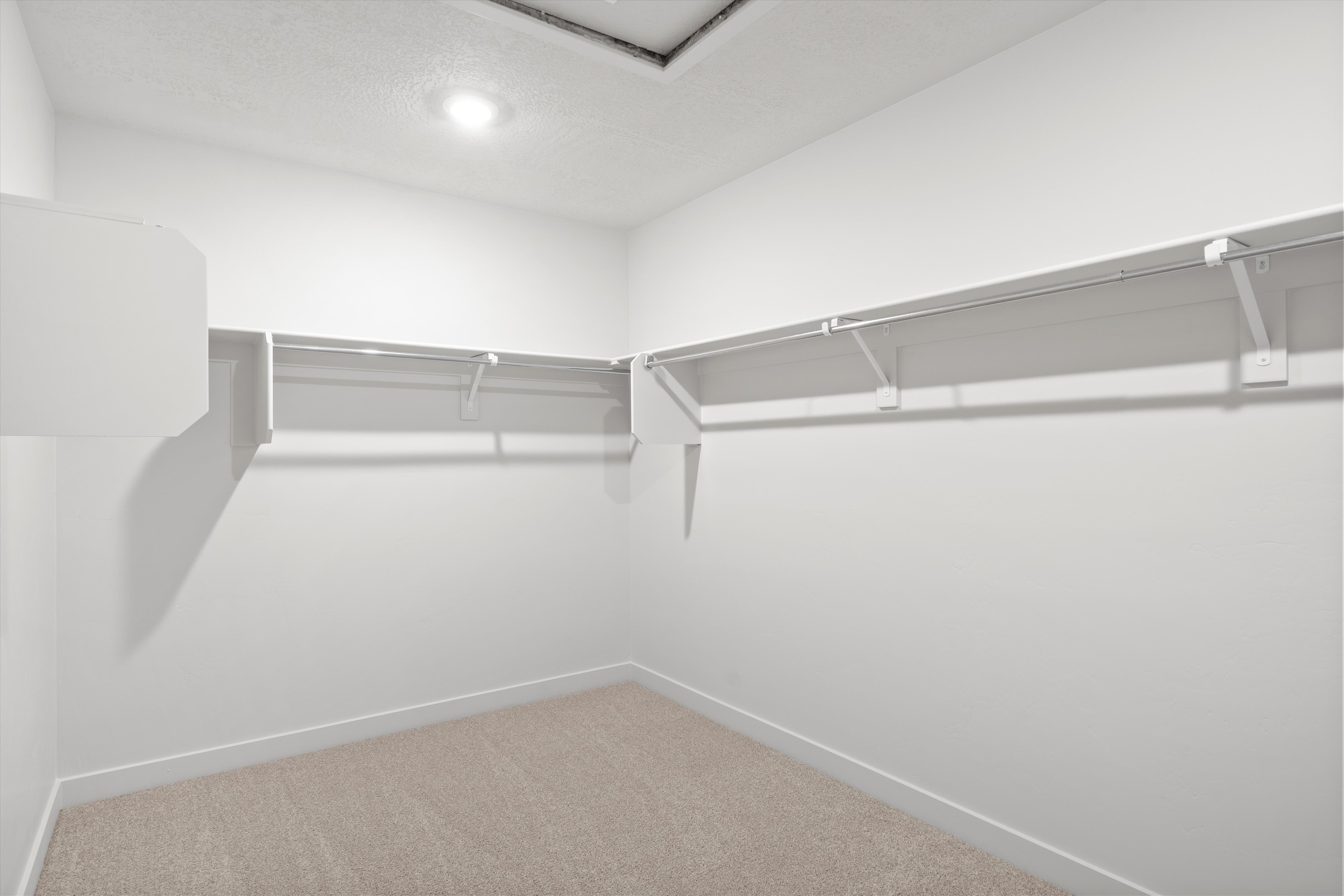 Walk-in closet featuring light beige carpeting, white walls, built-in shelving, and a recessed ceiling light fixture