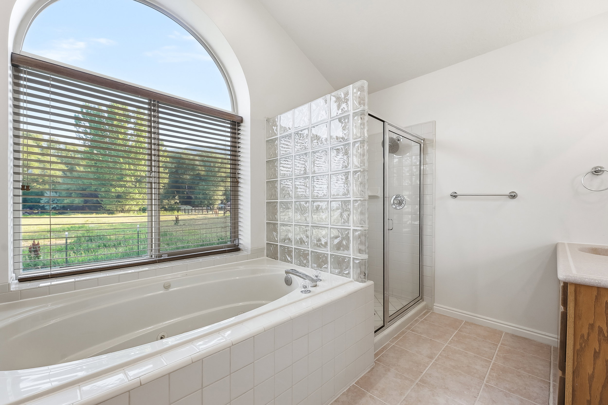 Primary Bathroom 1