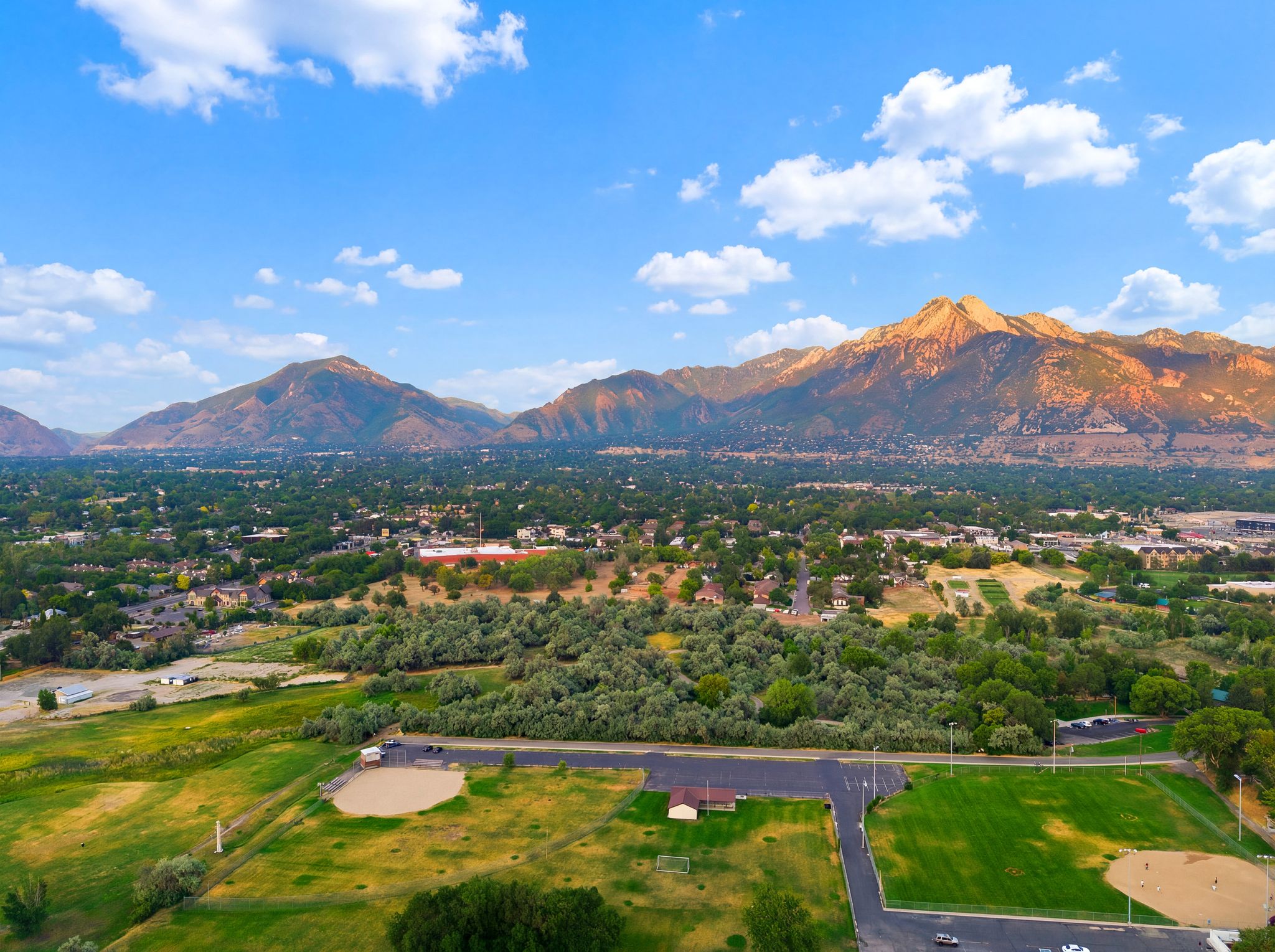 Expansive landscape with a prominent mountain range backdrop and verdant tree cover