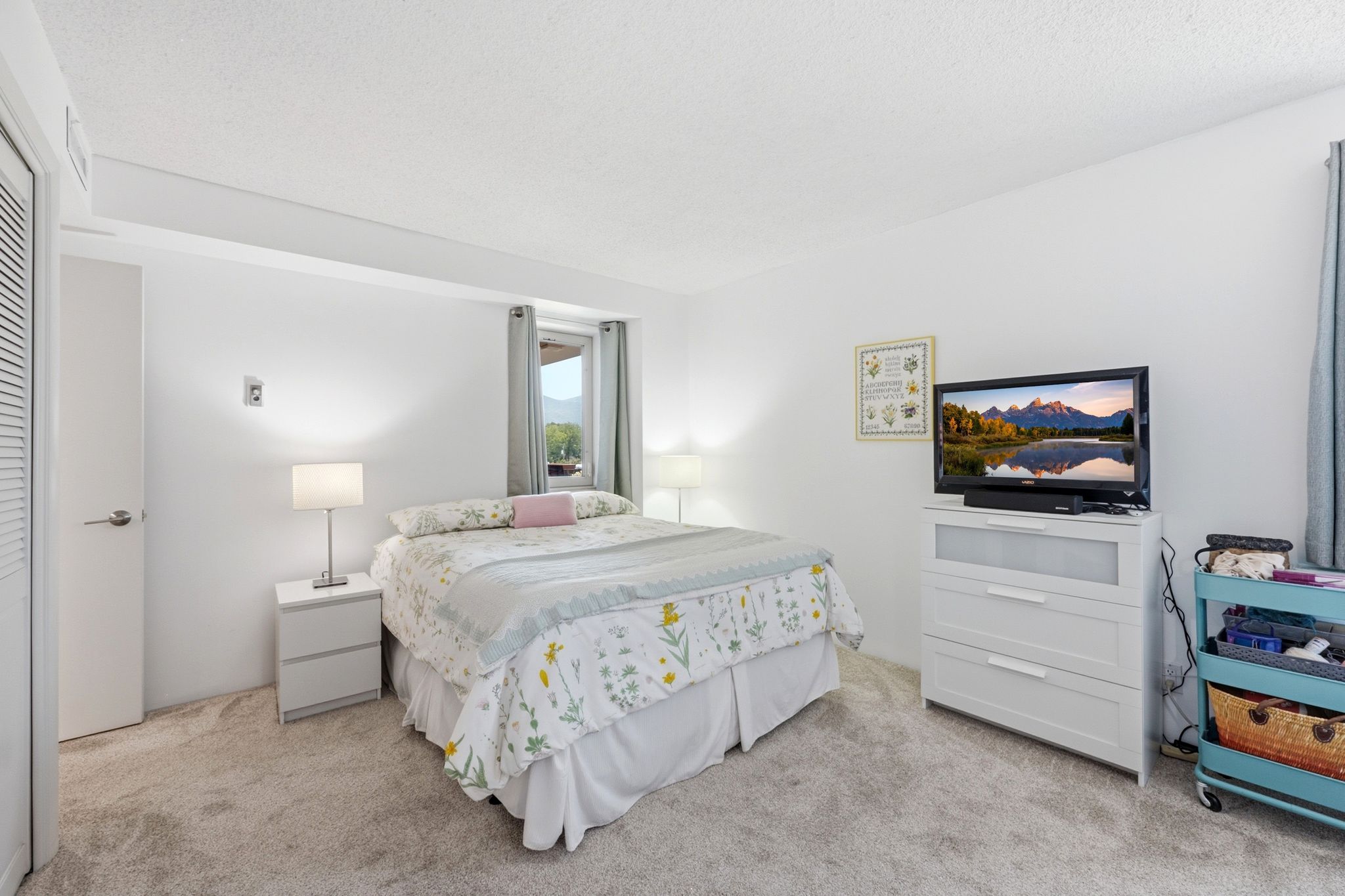 Spacious bedroom featuring light-toned carpet flooring, bright white walls, and a window with mountain scenery