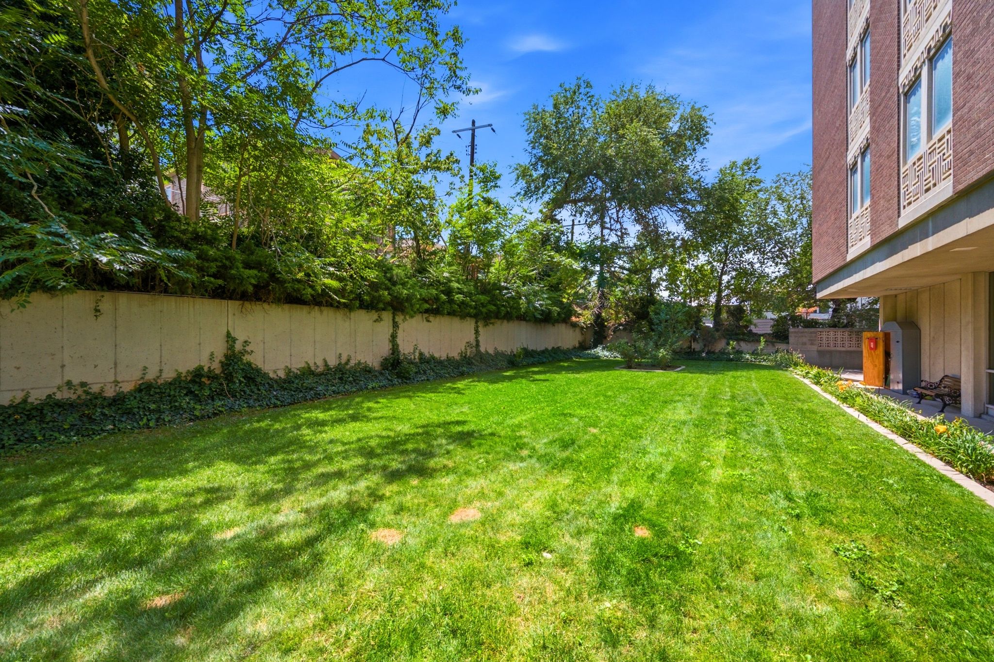 Expansive green lawn bordered by a concrete wall with thriving ivy