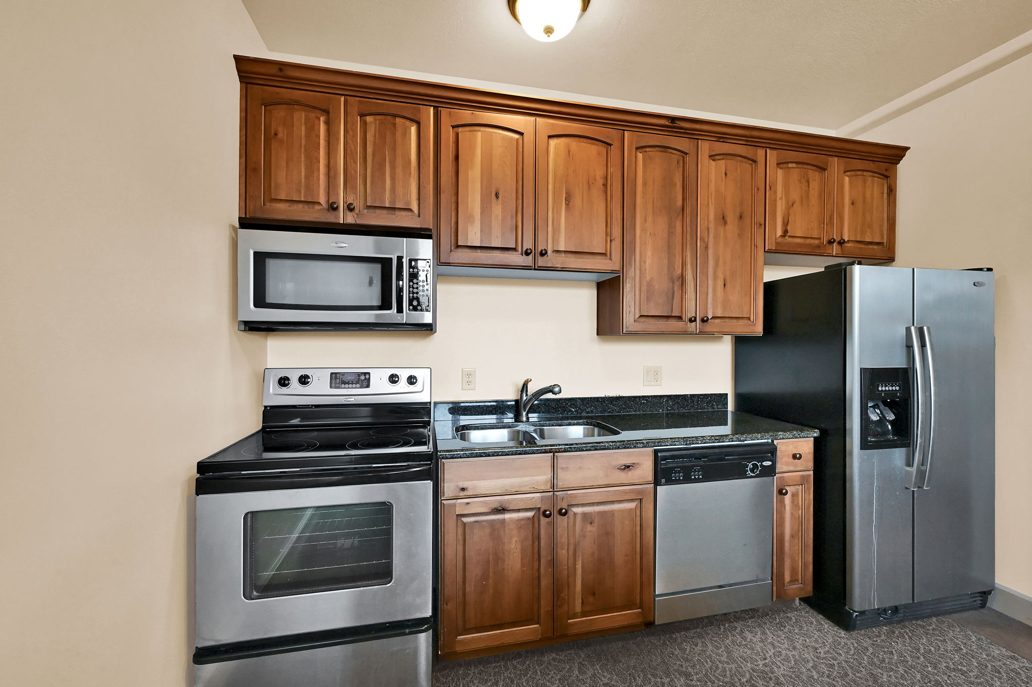 Community Room on Level V: (View) Compact kitchen featuring wood cabinetry, stainless steel appliances, a double basin sink, and dark speckled countertops