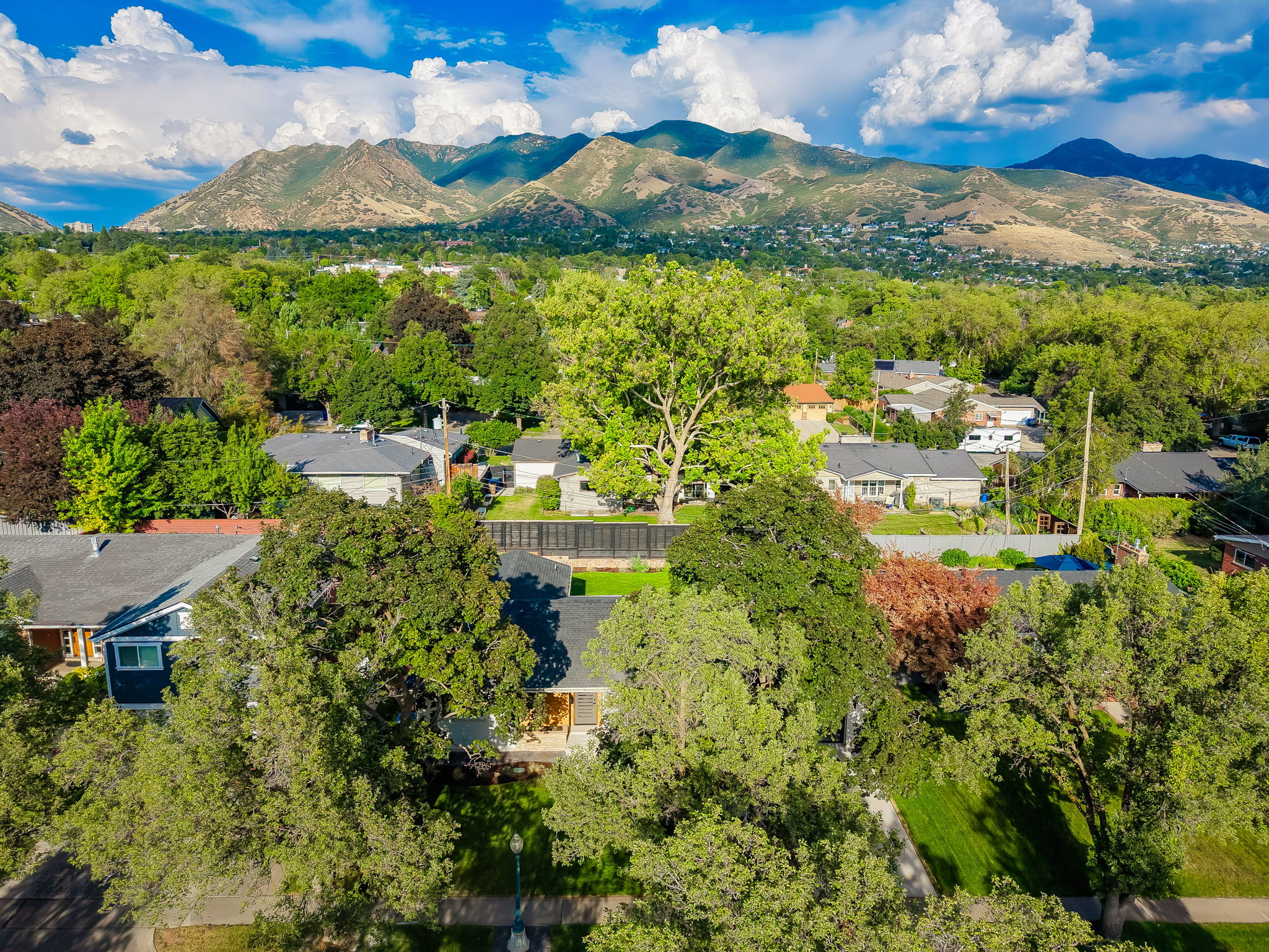 Aerial perspective showcasing a residential neighborhood with an abundance of mature trees